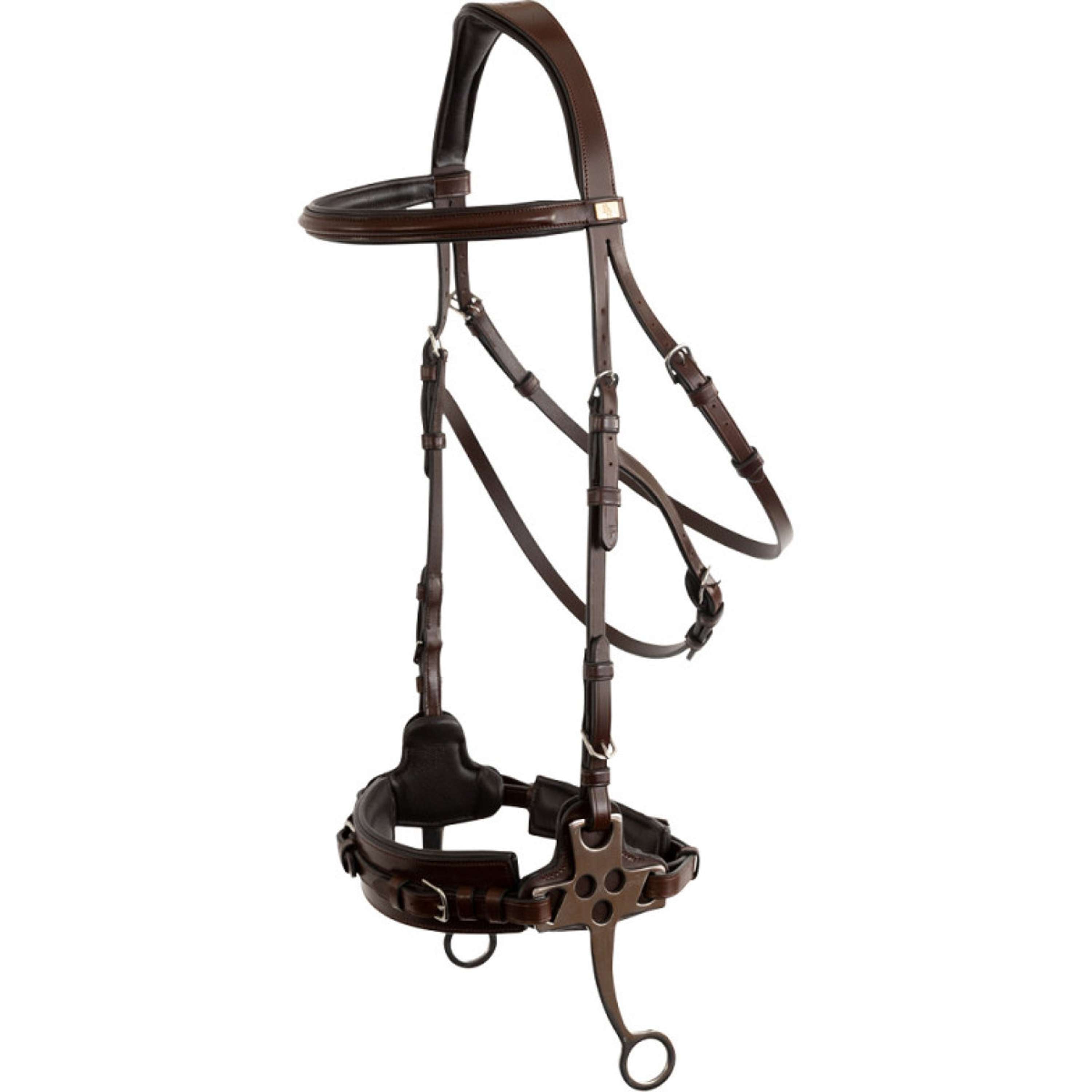 BR Hackamore Thornbury Dębowy/Srebrny