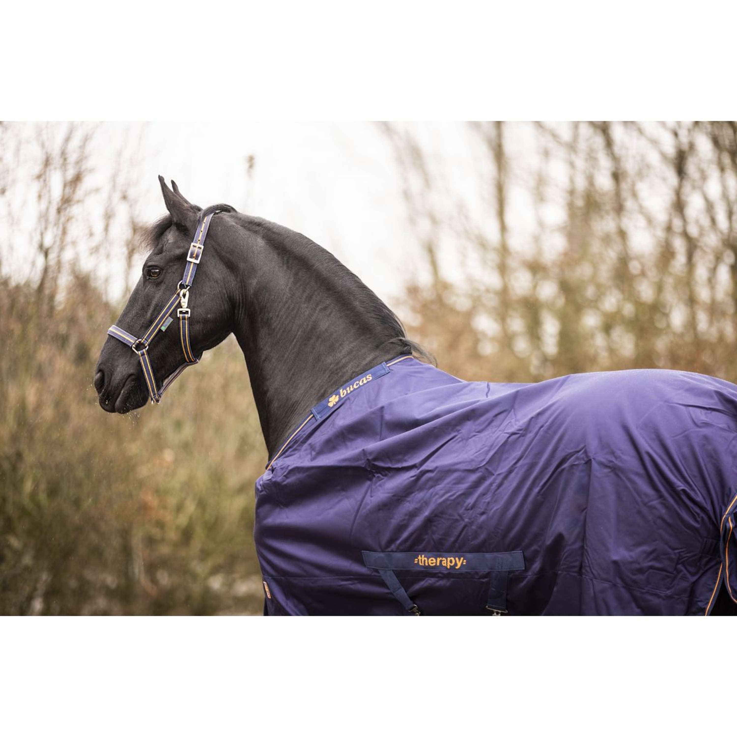 Bucas Therapy Turnout 150g Granatowy/Pomarańczowy