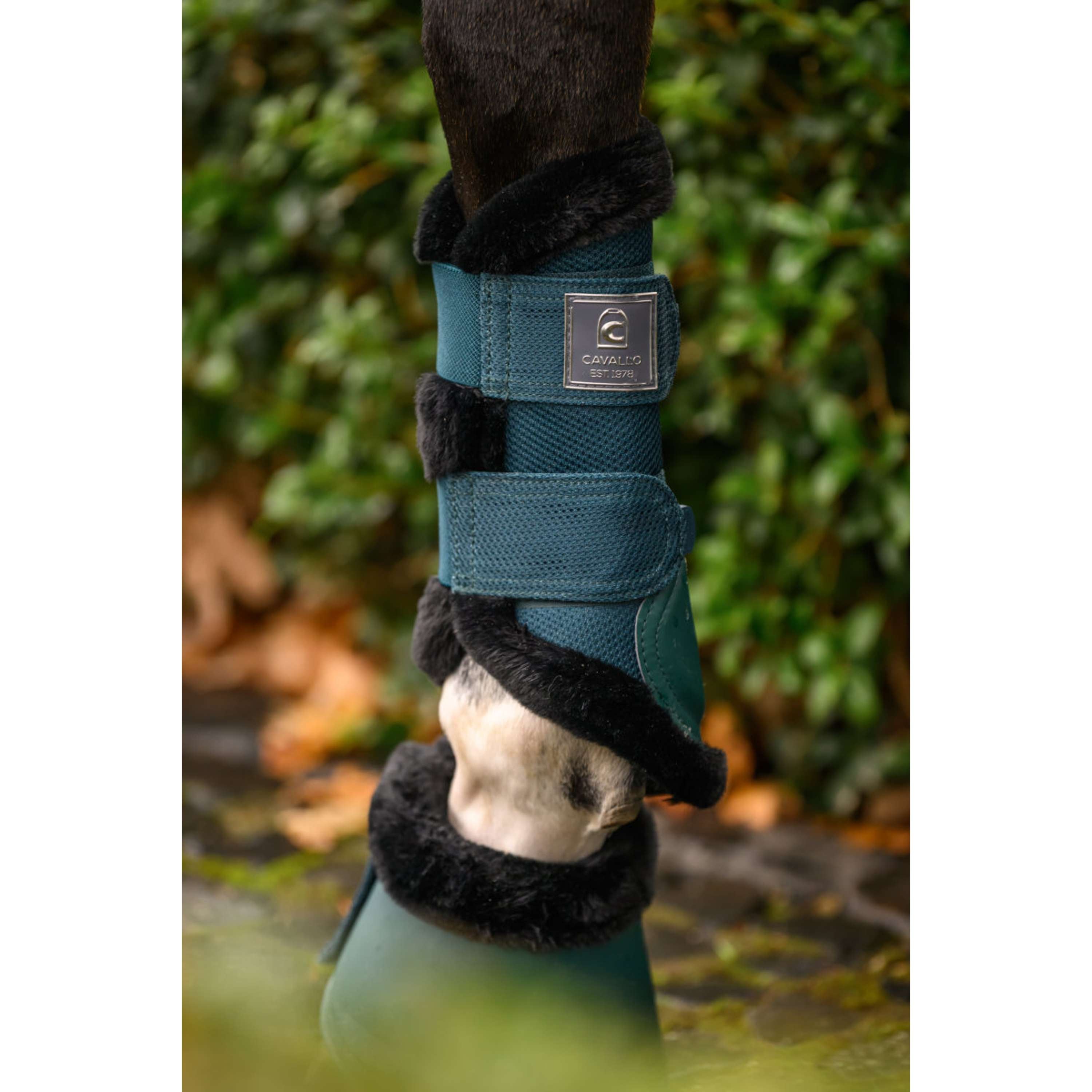 Cavallo Buty Ujeżdżeniowe CavalJoca Dark Peacock