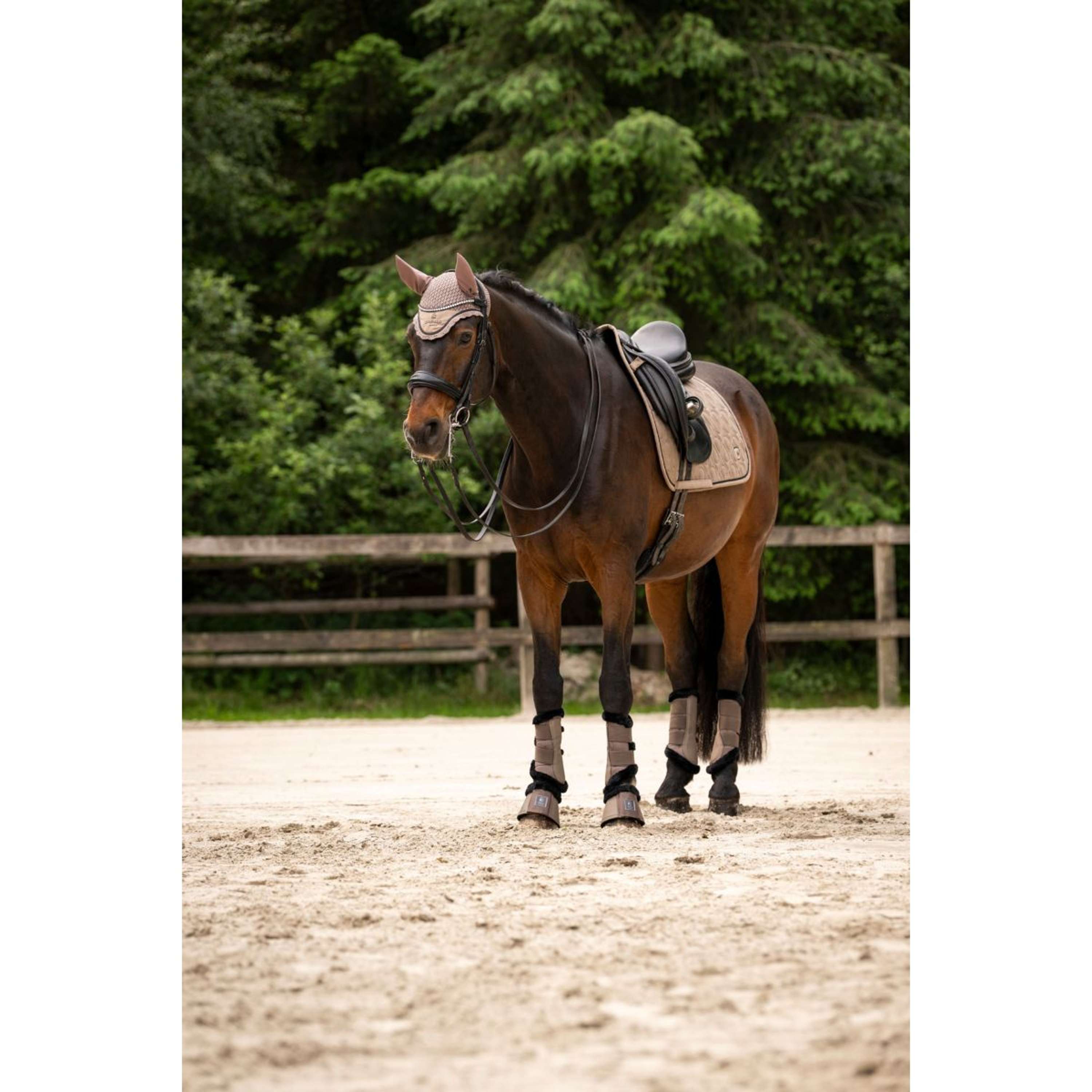 Cavallo Siateczka Na Uszy CavalPerla Mocha Latte