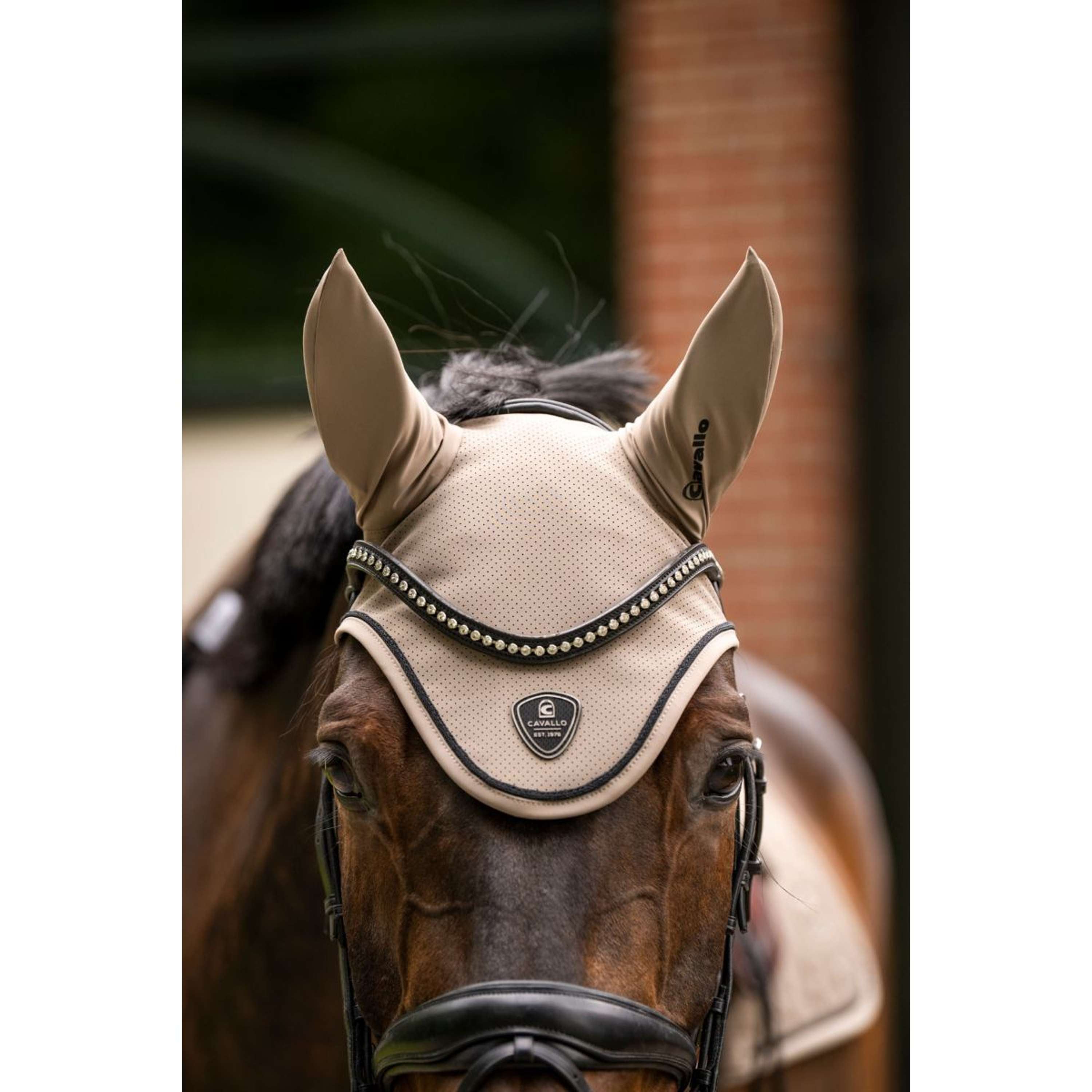 Cavallo Siateczka Na Uszy CavalJackie Mocha Latte