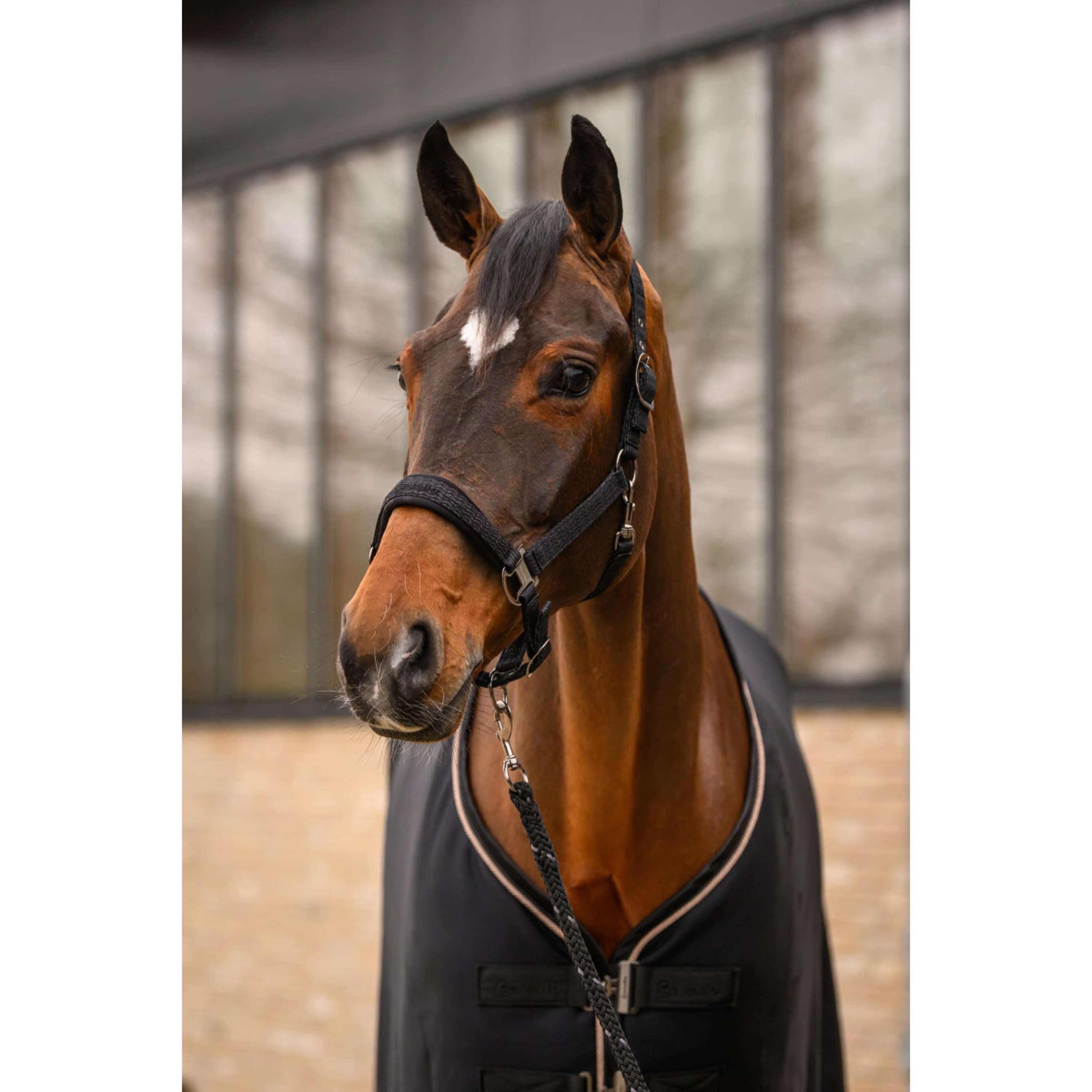 Cavallo Lina Do Prowadzenia CavalRey z Karabińczyk Czarny