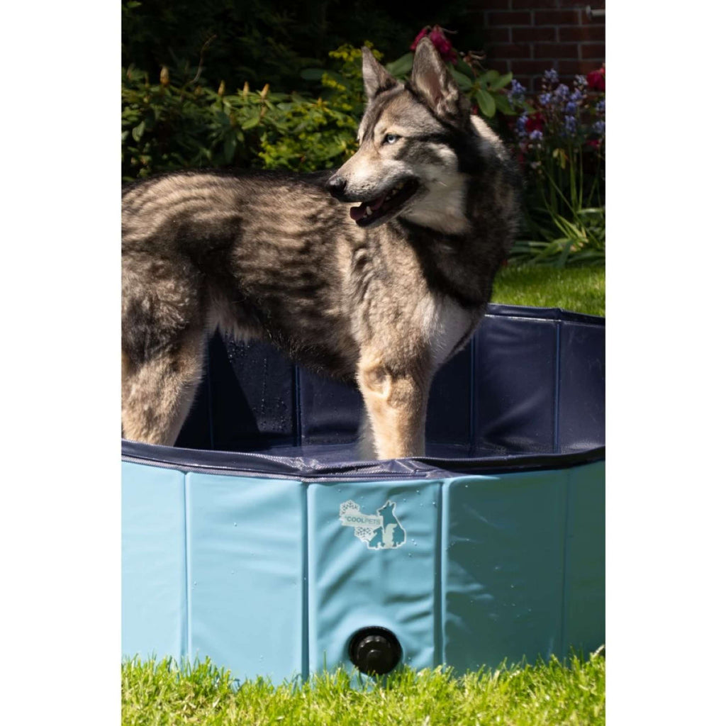 Coolpets Basen