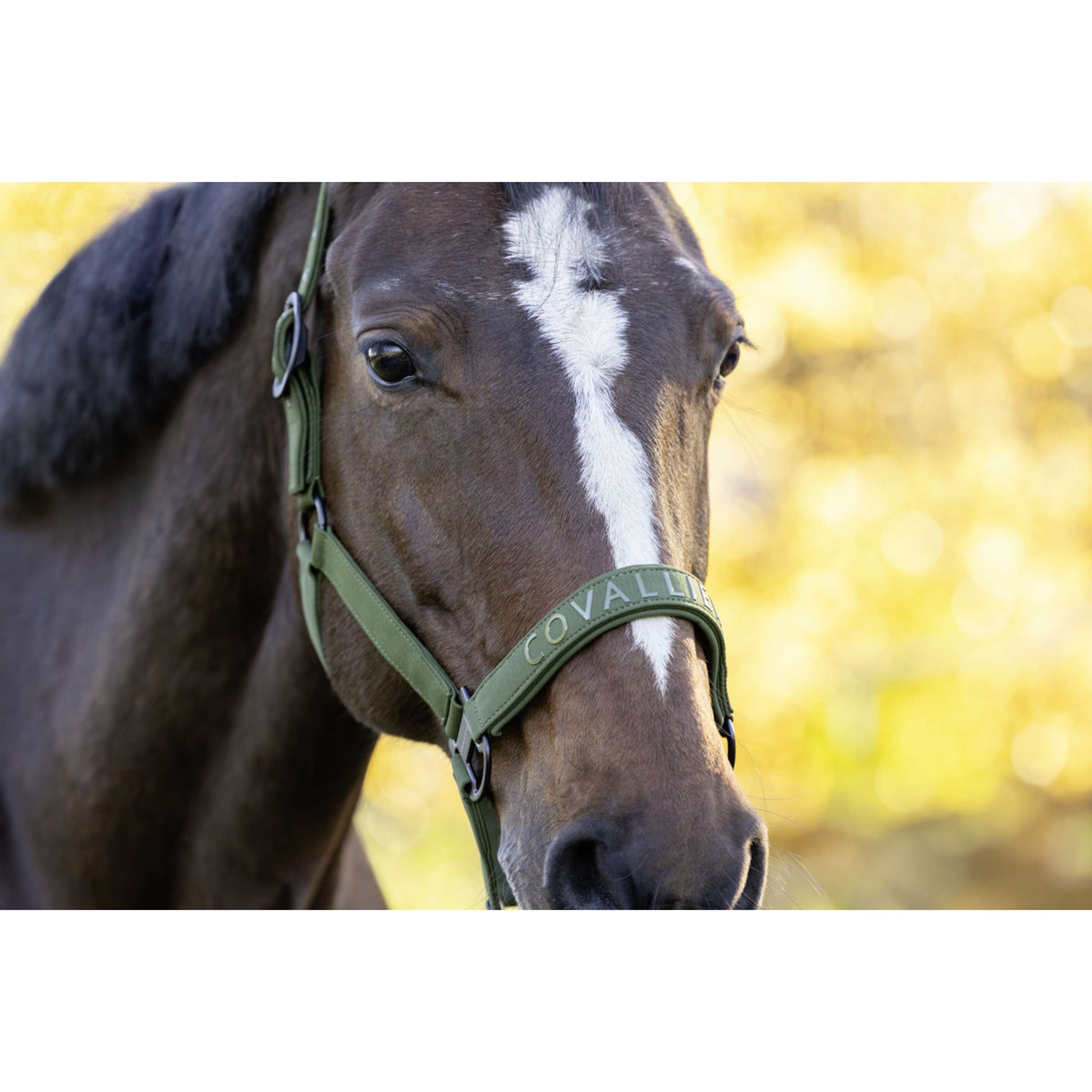 Covalliero Kantar AW26 Forest Green