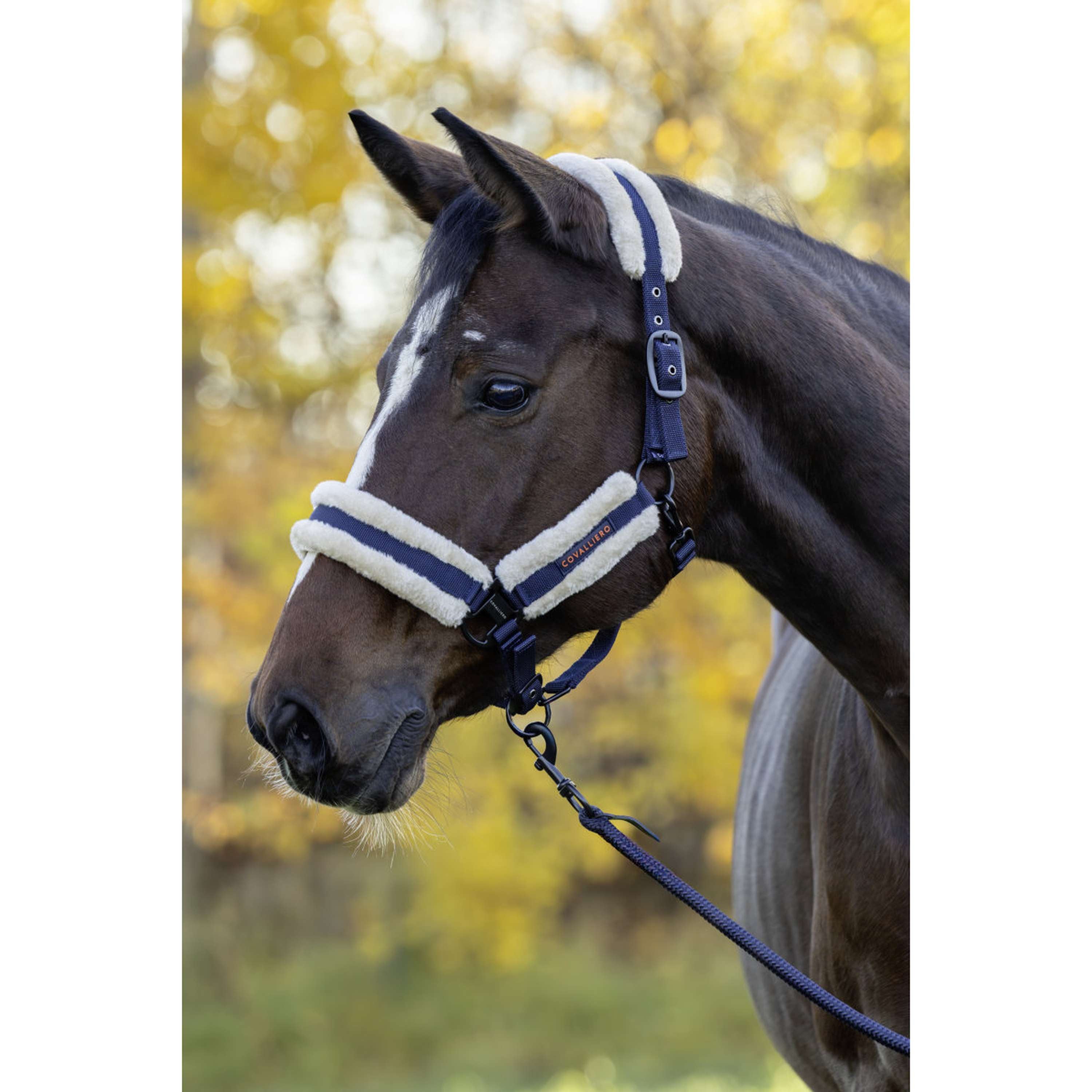 Covalliero Kantar Soft AW26 Ciemnogranatowy