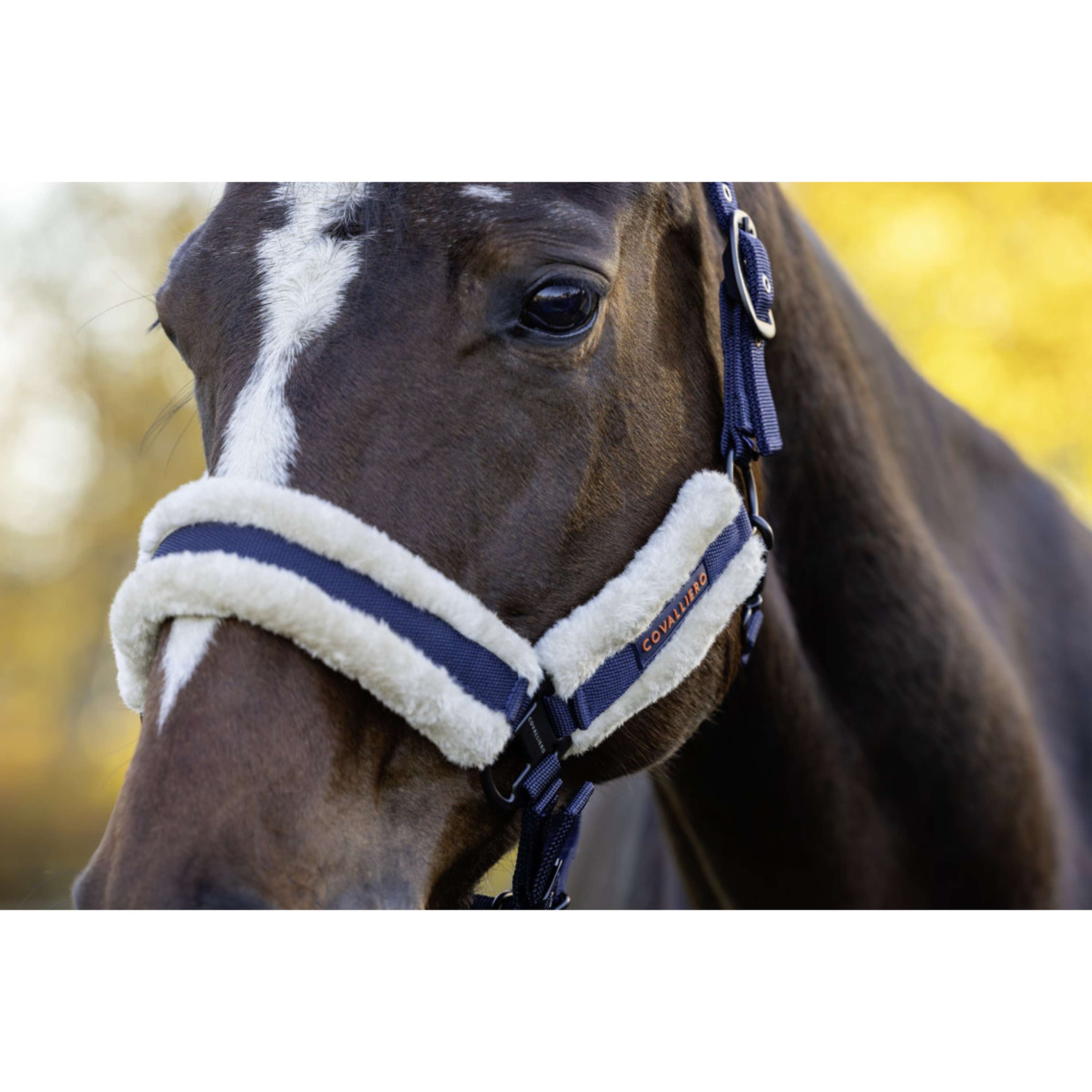 Covalliero Kantar Soft AW26 Ciemnogranatowy