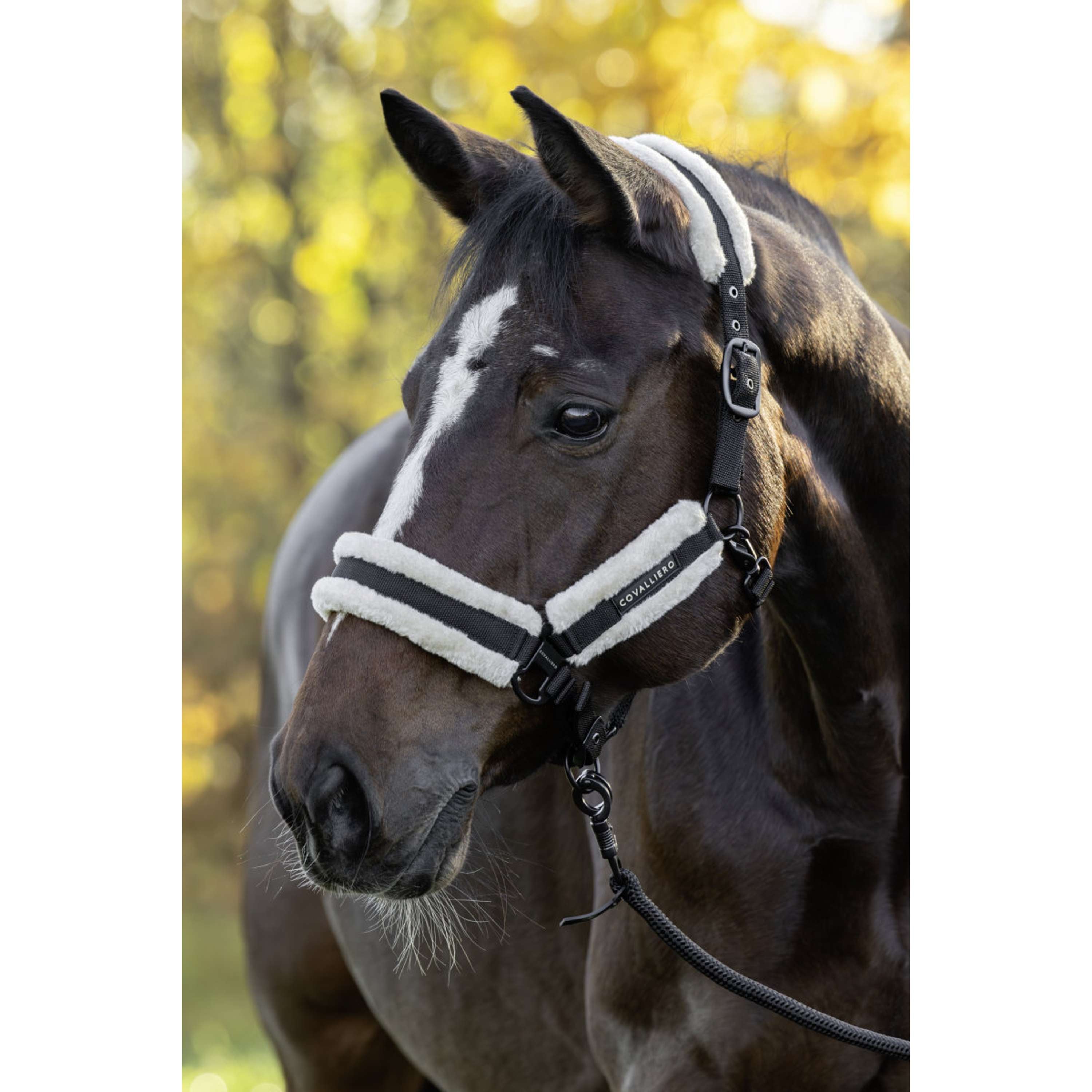 Covalliero Kantar Soft AW26 Czarny