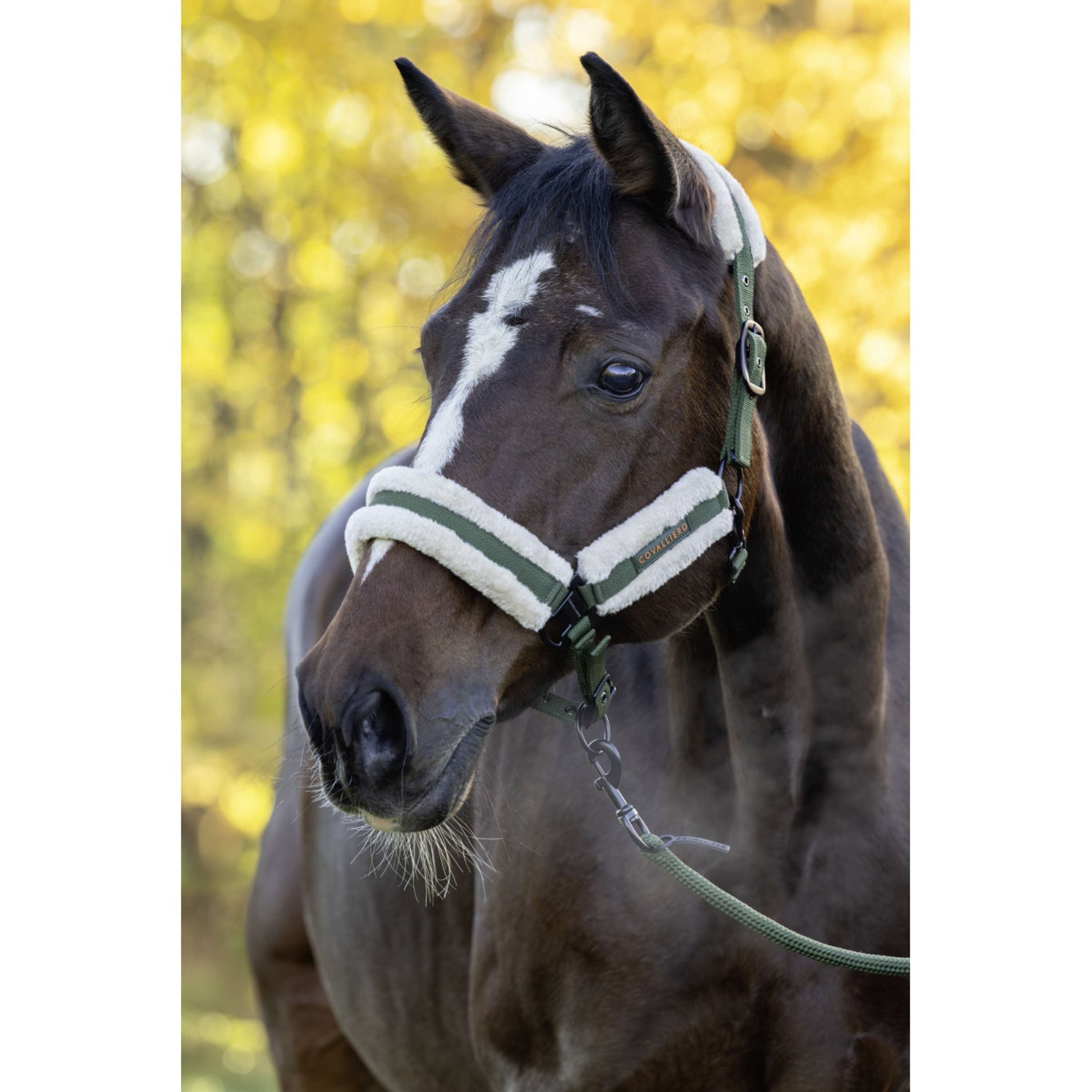 Covalliero Kantar Soft AW26 Forest Green