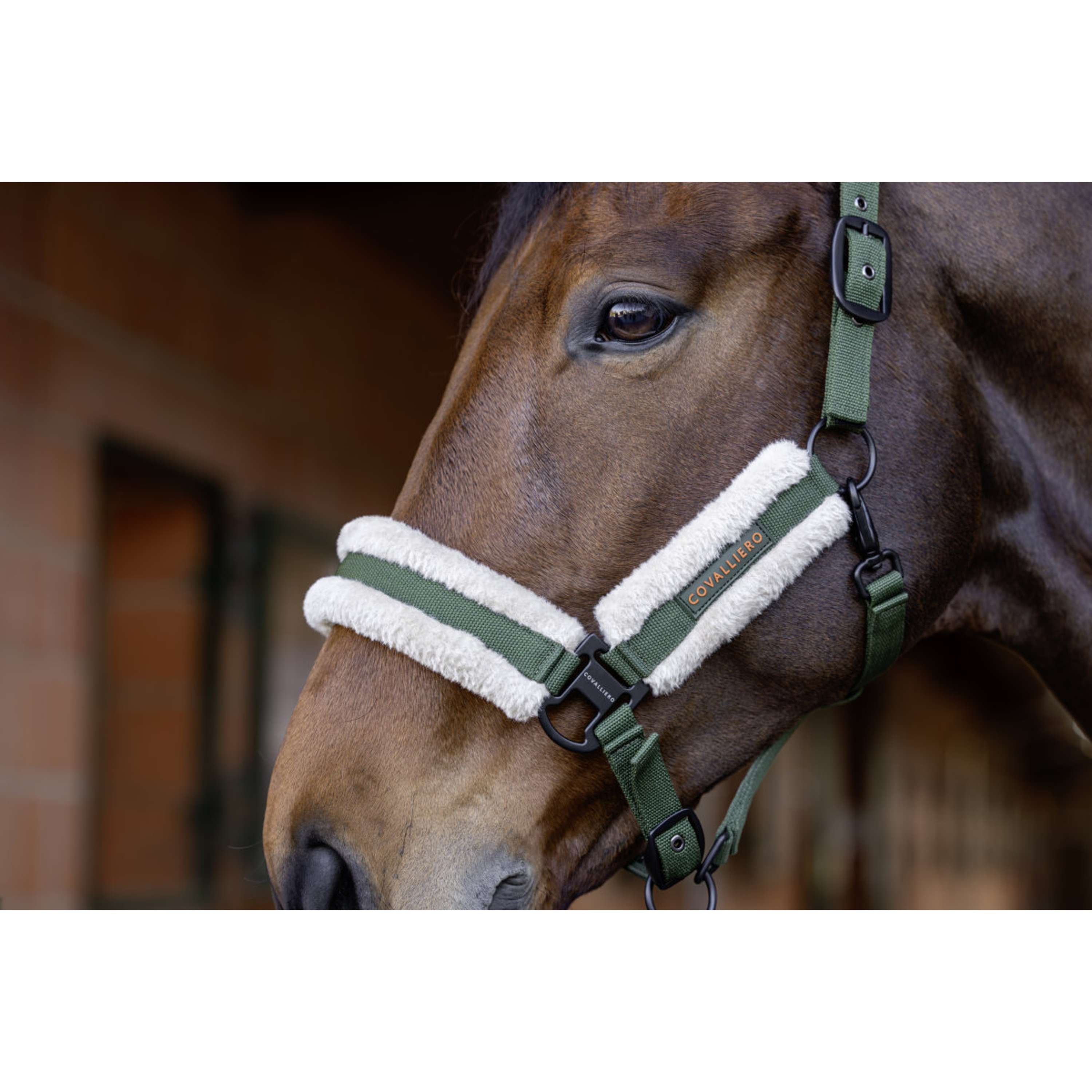 Covalliero Kantar Soft AW26 Forest Green