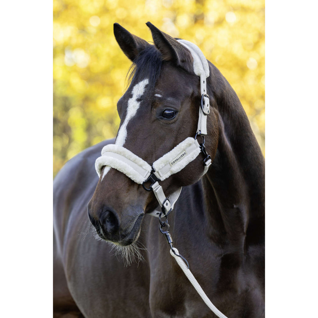 Covalliero Kantar Soft AW26 Beige