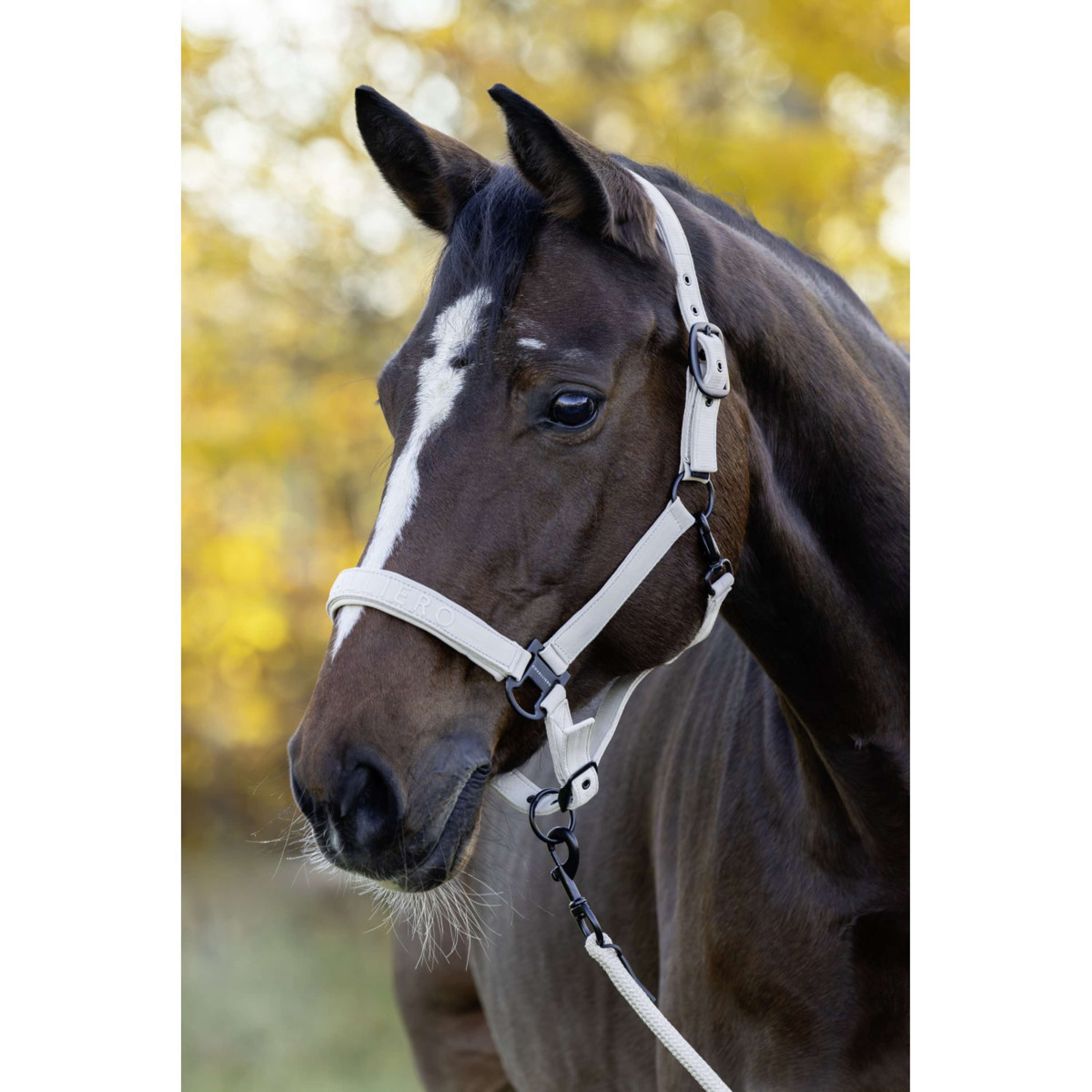 Covalliero Kantar AW26 Beige