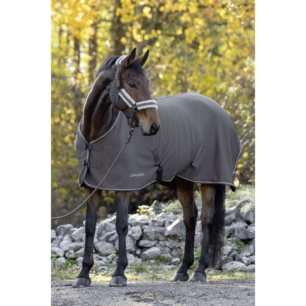 Derka potowa Covalliero Premium AW26, kolor mlecznej czekolady