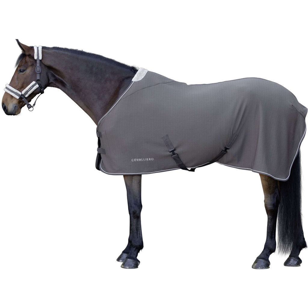 Derka potowa Covalliero Premium AW26, kolor mlecznej czekolady