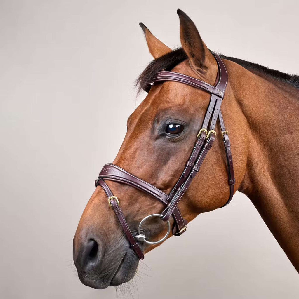 Dyon Ogłowie Anatomic Flash Brązowy
