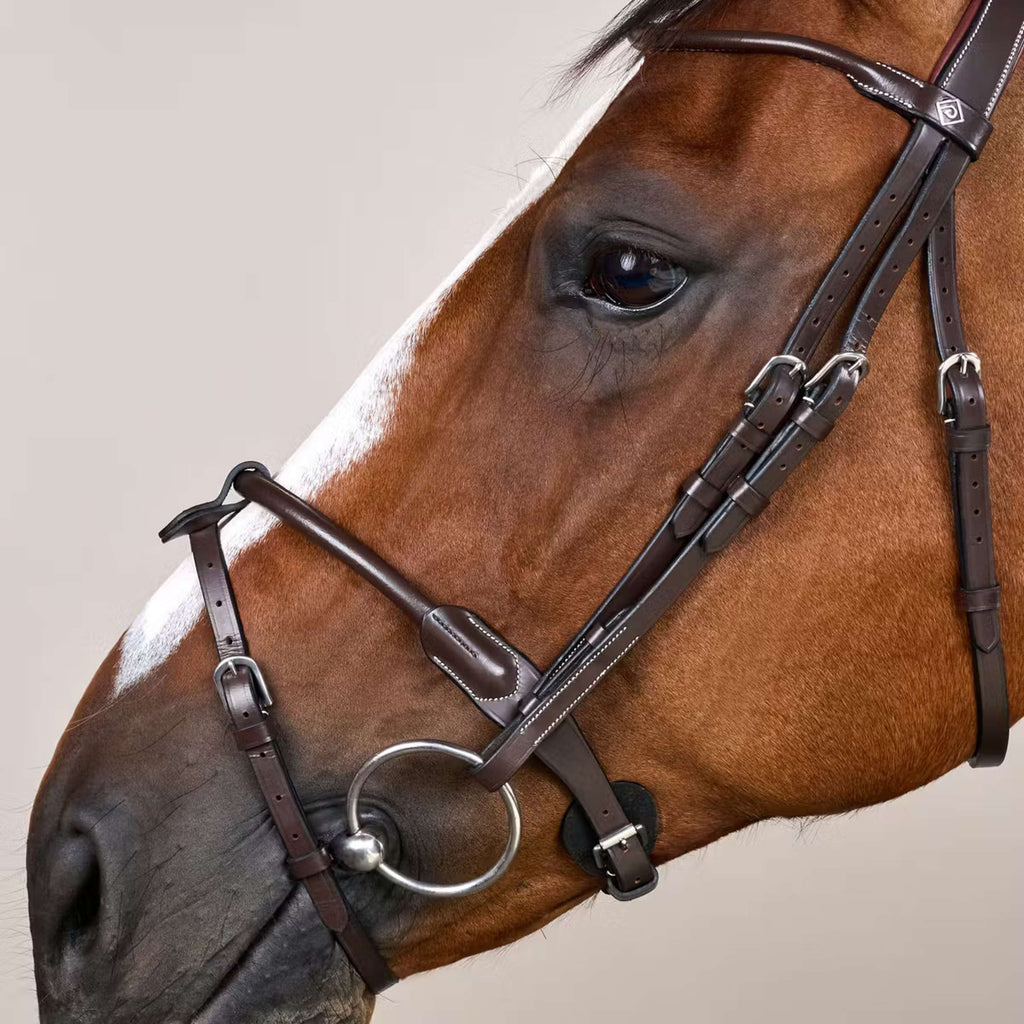 Ogłowie Dyon Round Leather Brązowe