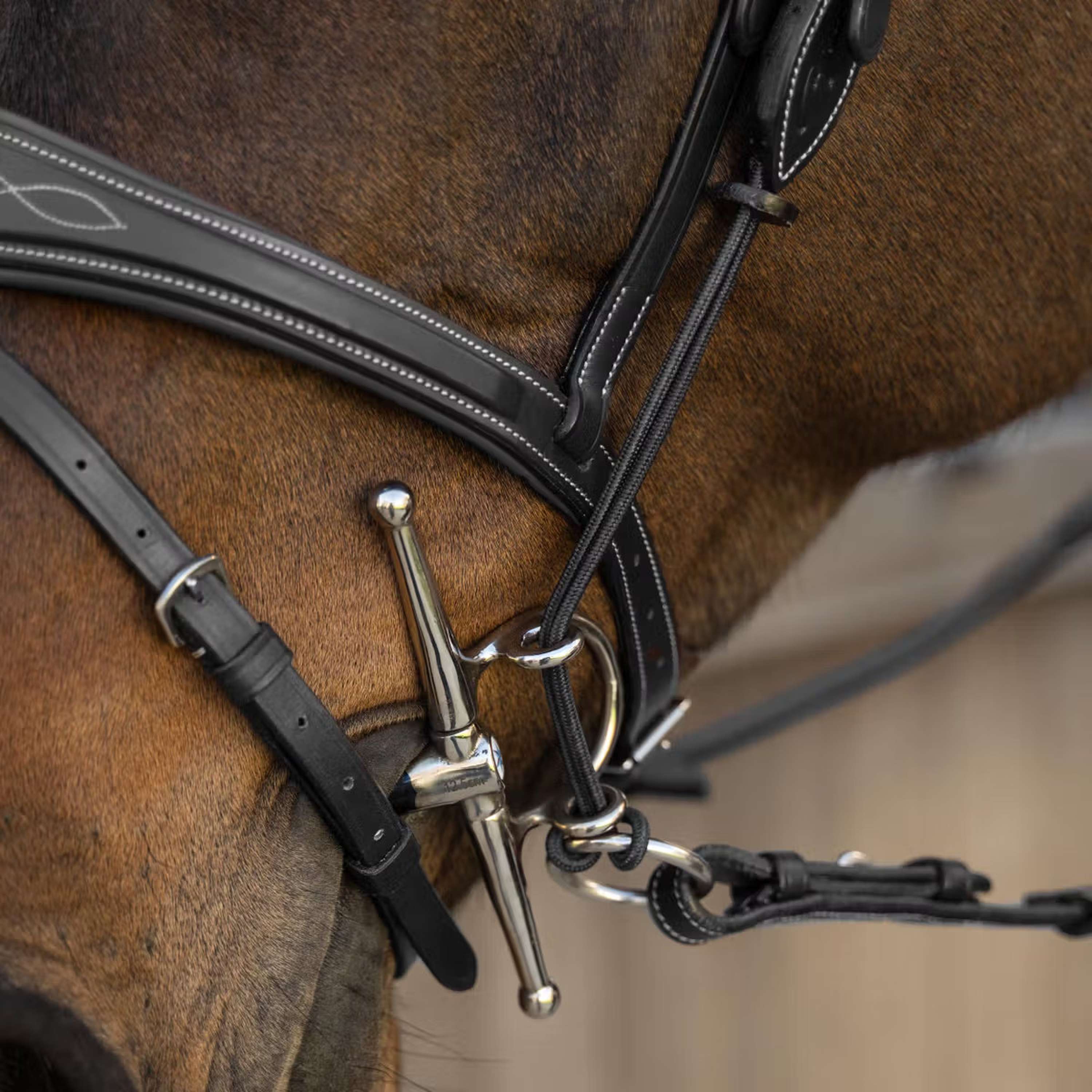 Dyon Gag Ropes US Collection Czarny