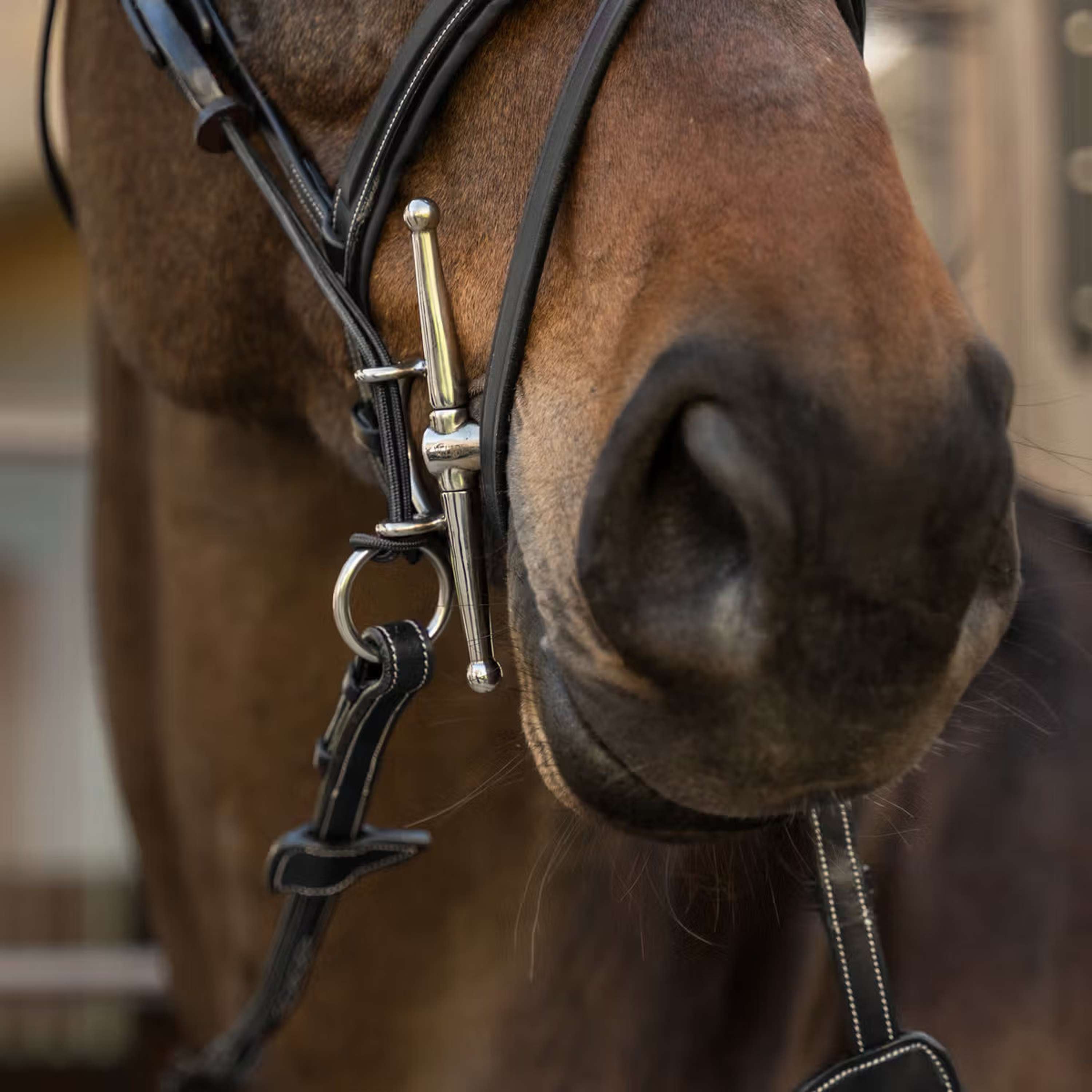 Dyon Gag Ropes US Collection Czarny