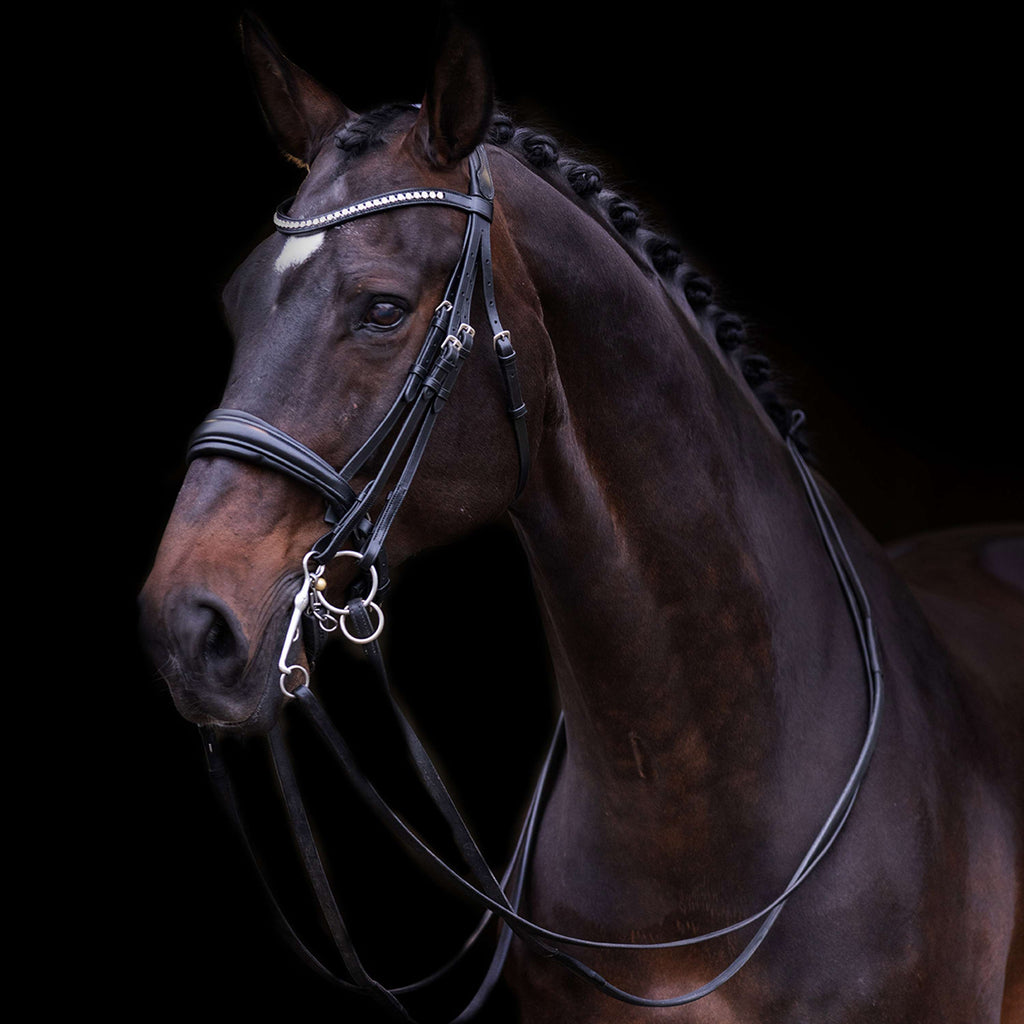 Imperial Riding Ogłowie podwójne IRHFria czarne