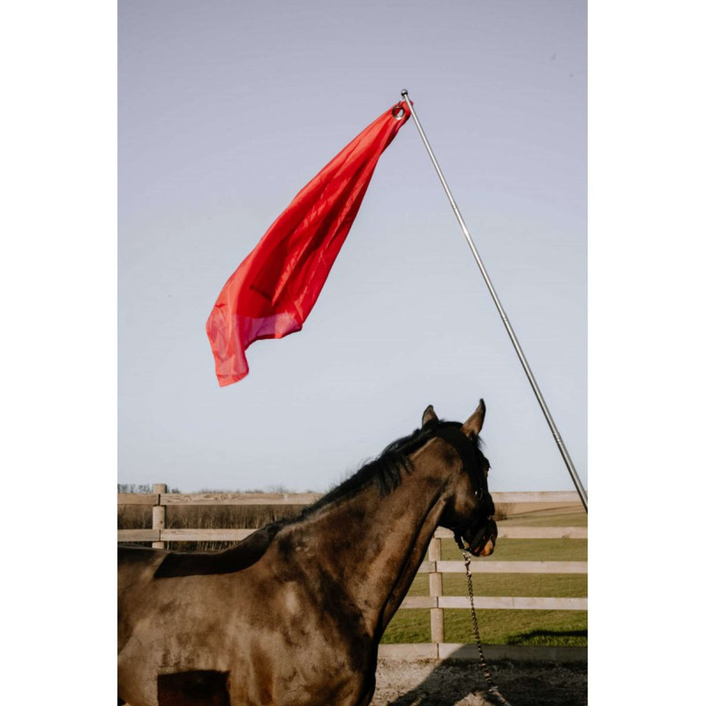 Hippotonic Kij Treningowy Ethologisch z Flagą Czerwony
