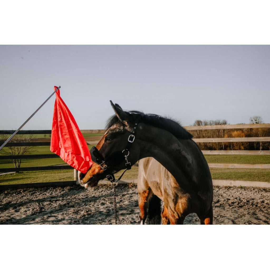 Hippotonic Kij Treningowy Ethologisch z Flagą Czerwony