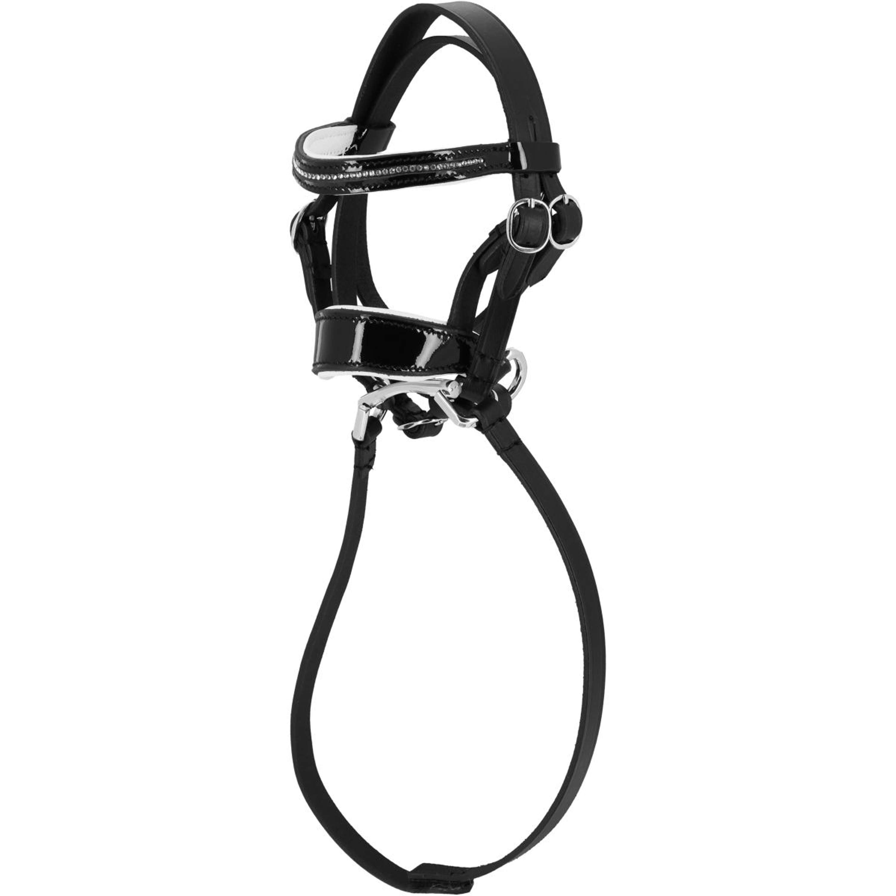 EQUITHÈME Pony Academy Ogłowie ujeżdżeniowe czarne
