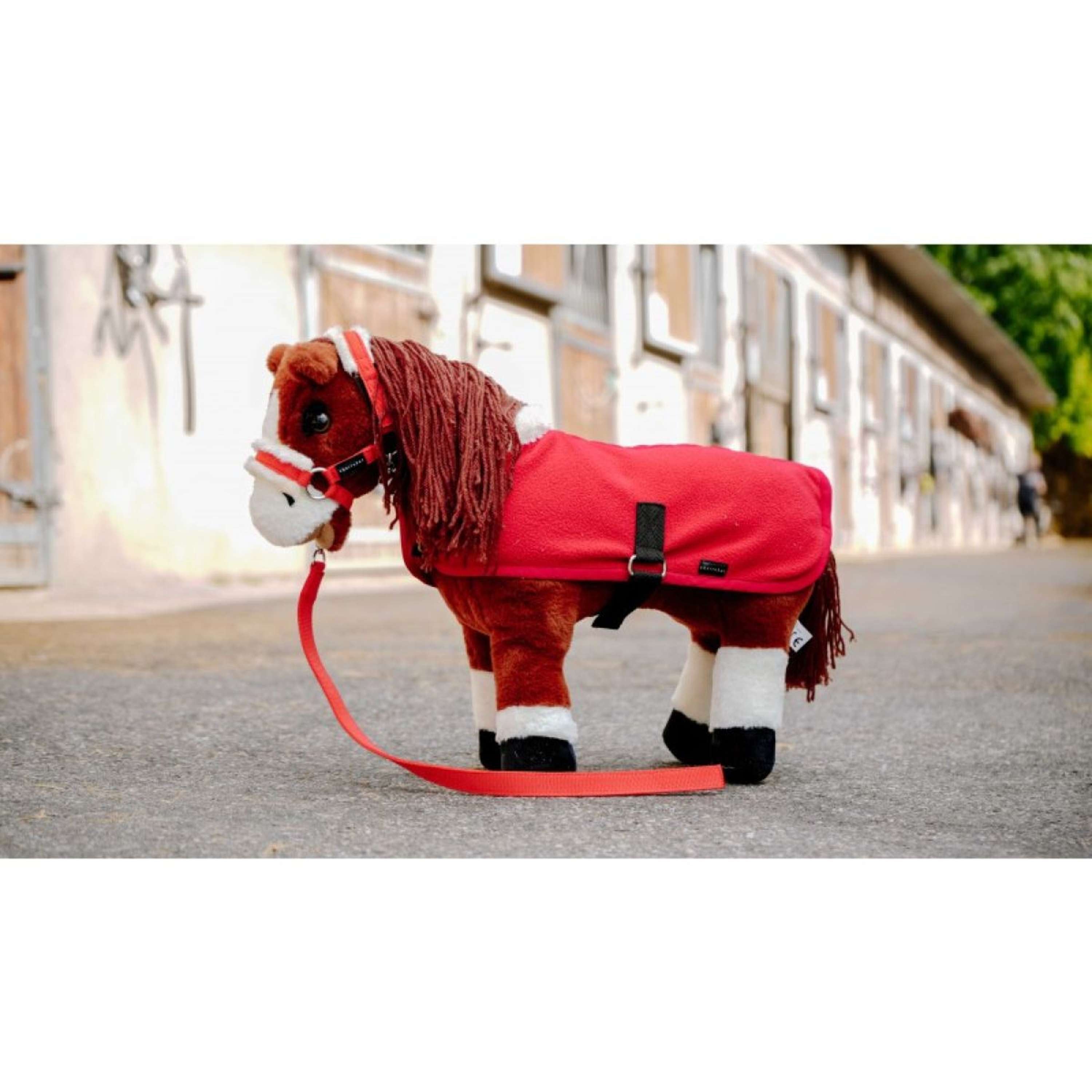 EQUITHÈME Pony Academy Zestaw Derek Pokazowych Mini Czerwony