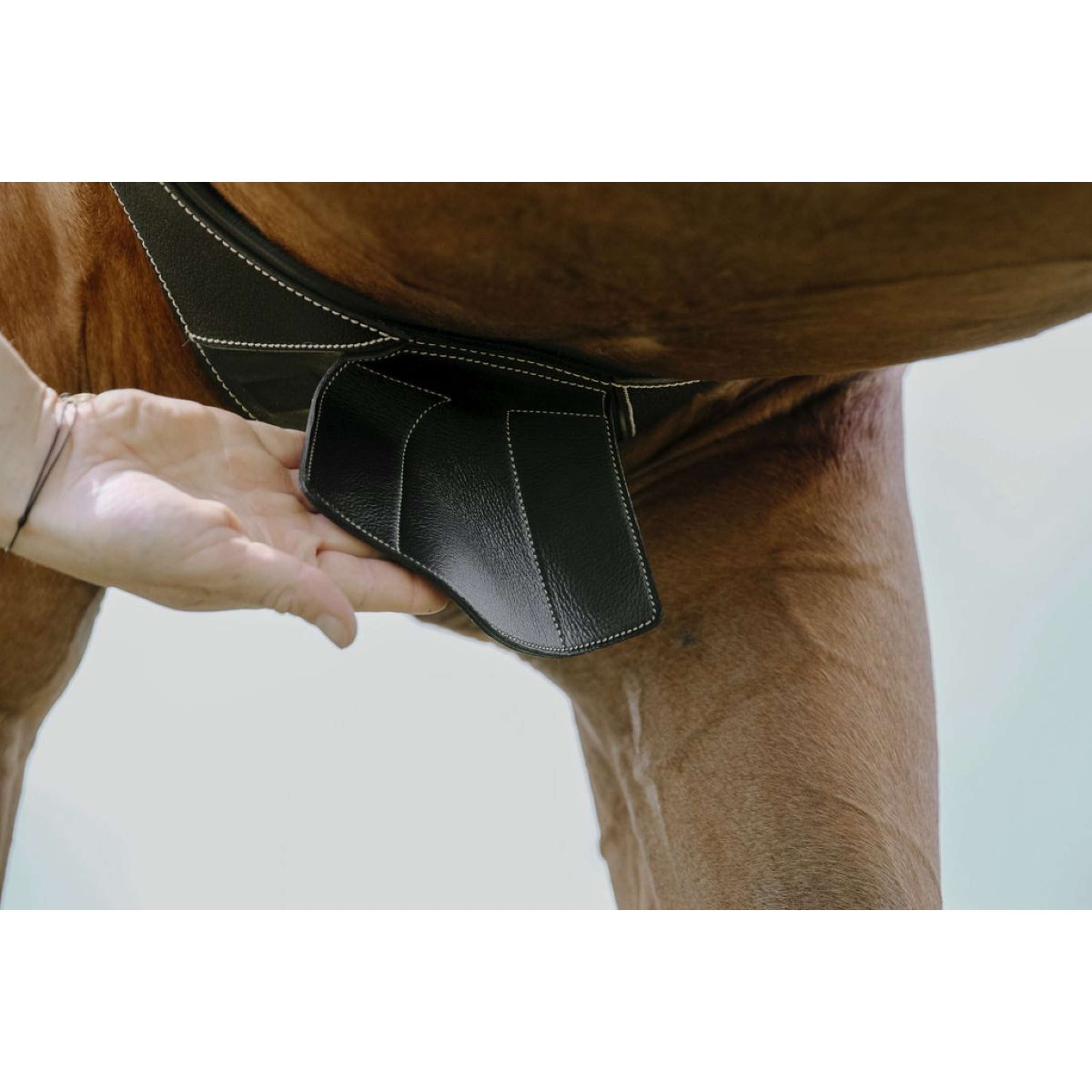 Norton Popręg Magnet Anatomiczny Czarny