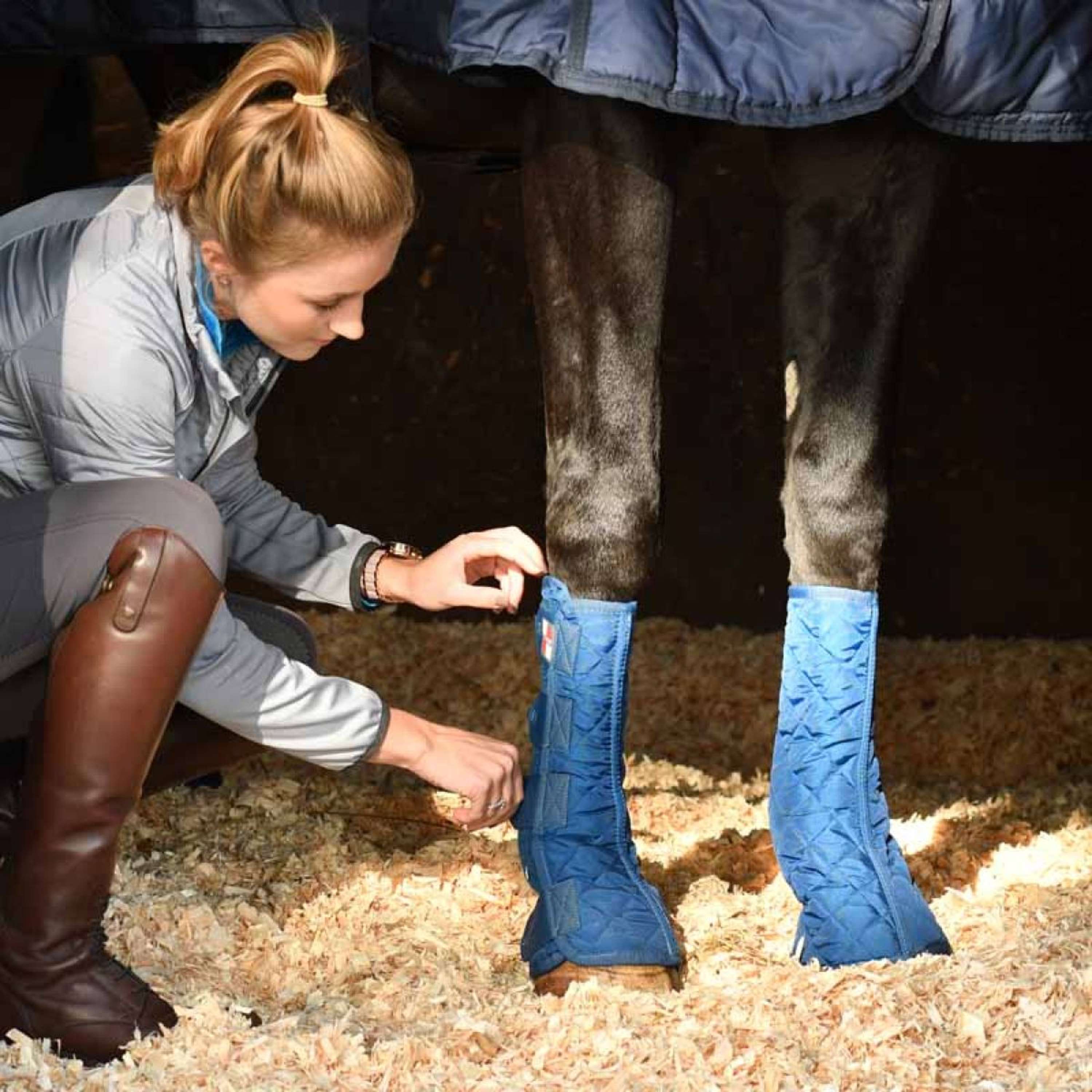 Equilibrium Ochraniacz Equi-Chaps Stajenny Granatowy