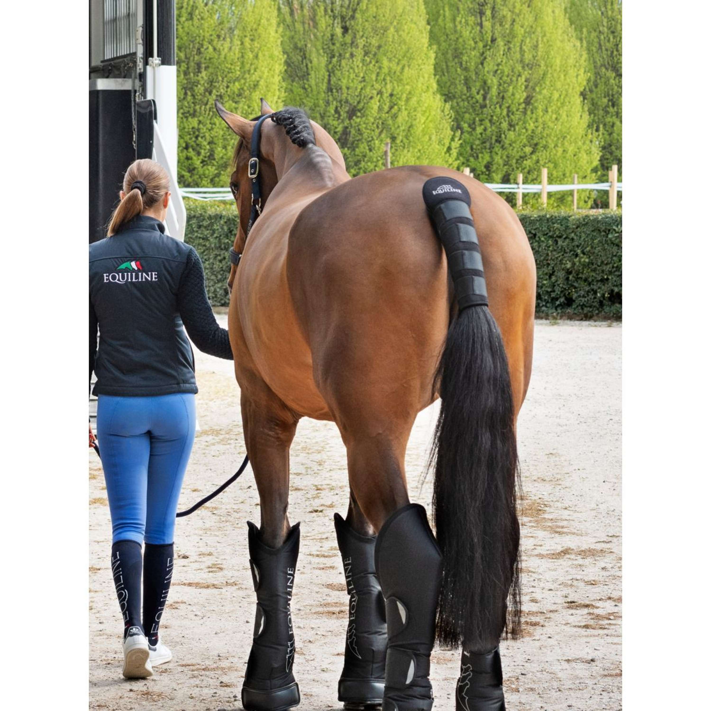 Equiline Ochraniacz ogona Noll czarny