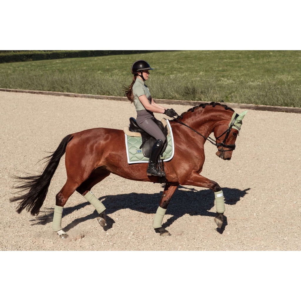 Equestrian Stockholm Koszulka Dynamic Short Sleeve Pistachio White