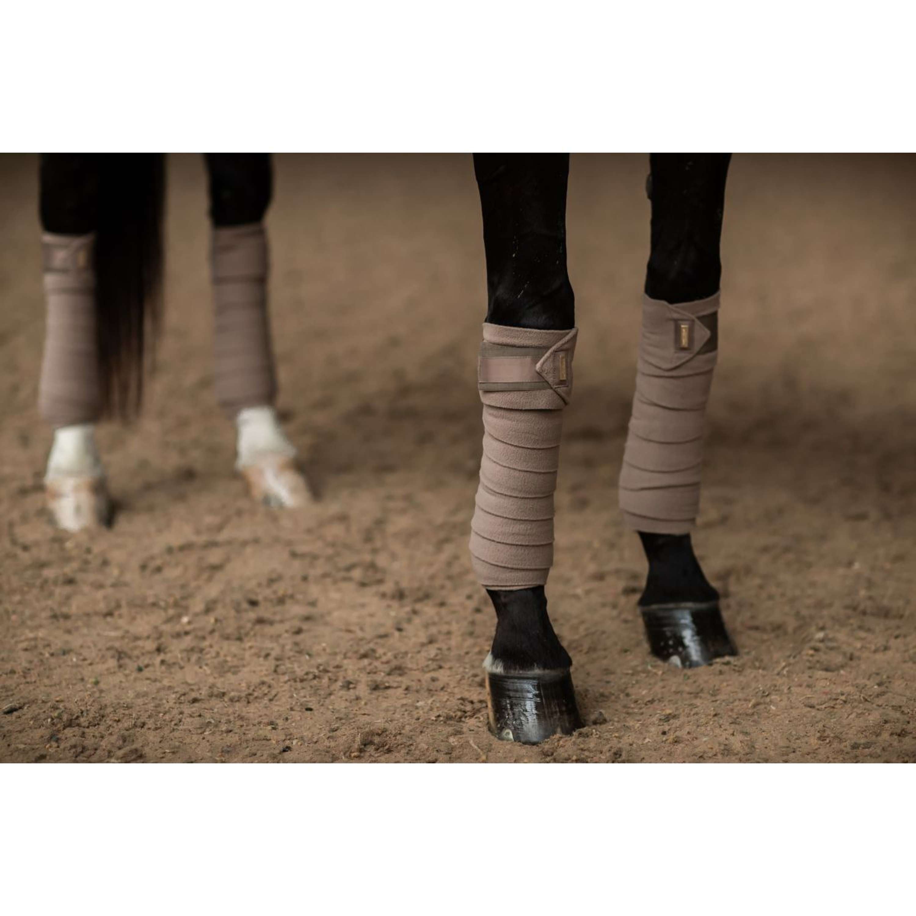 Equestrian Stockholm owijki dla koni Champagne