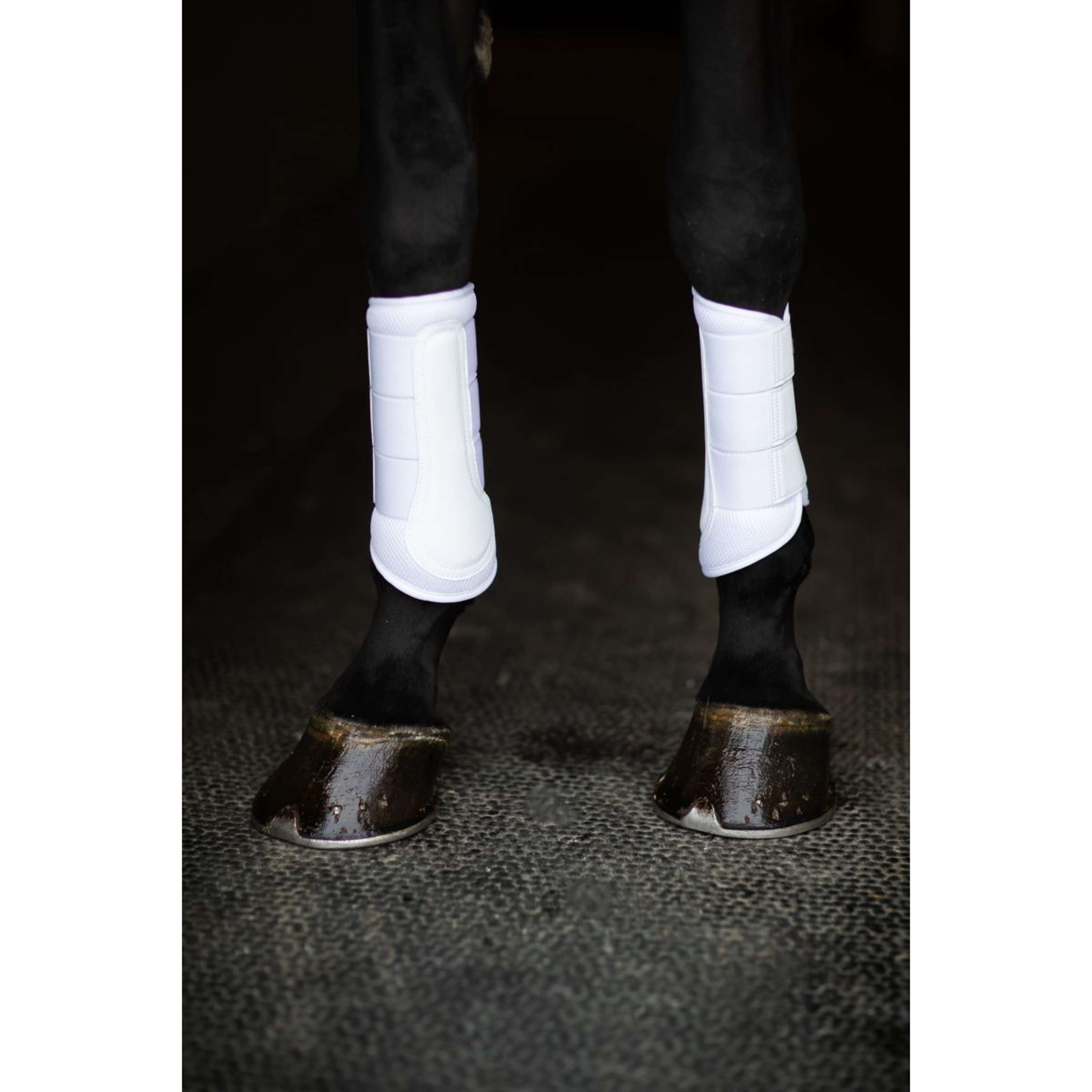 Equestrian Stockholm Ochraniacz Classic Mesh White Silver