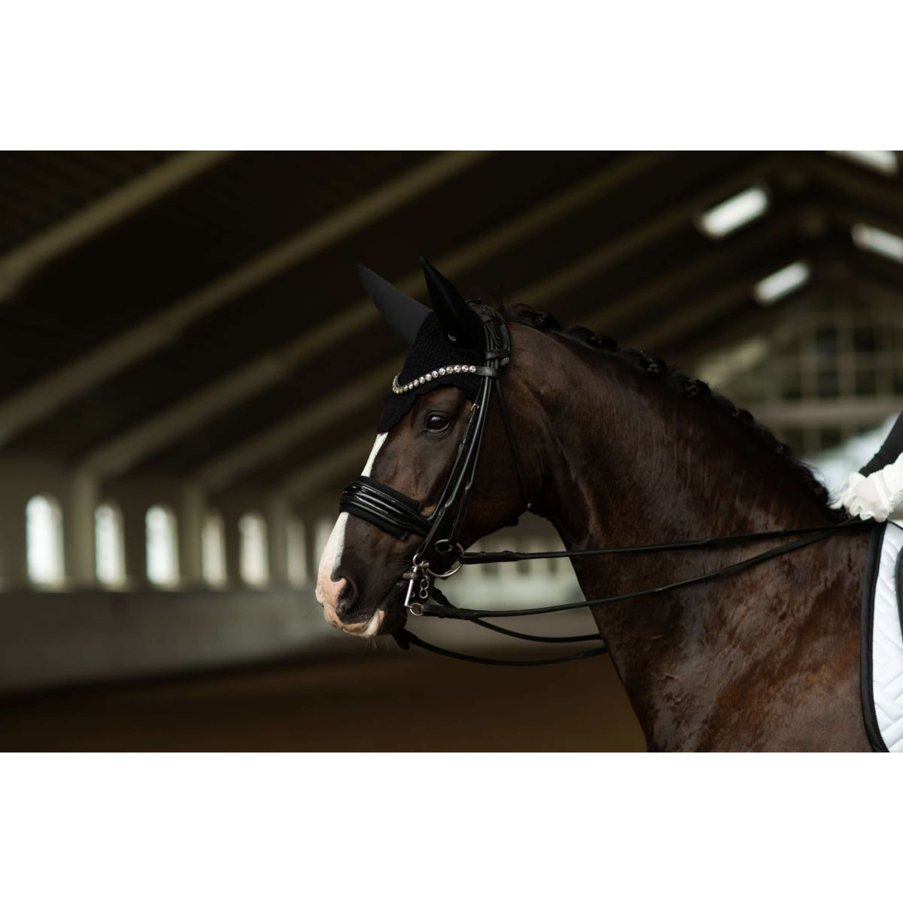 Equestrian Stockholm Siateczka Na Uszy Padded Clean Black