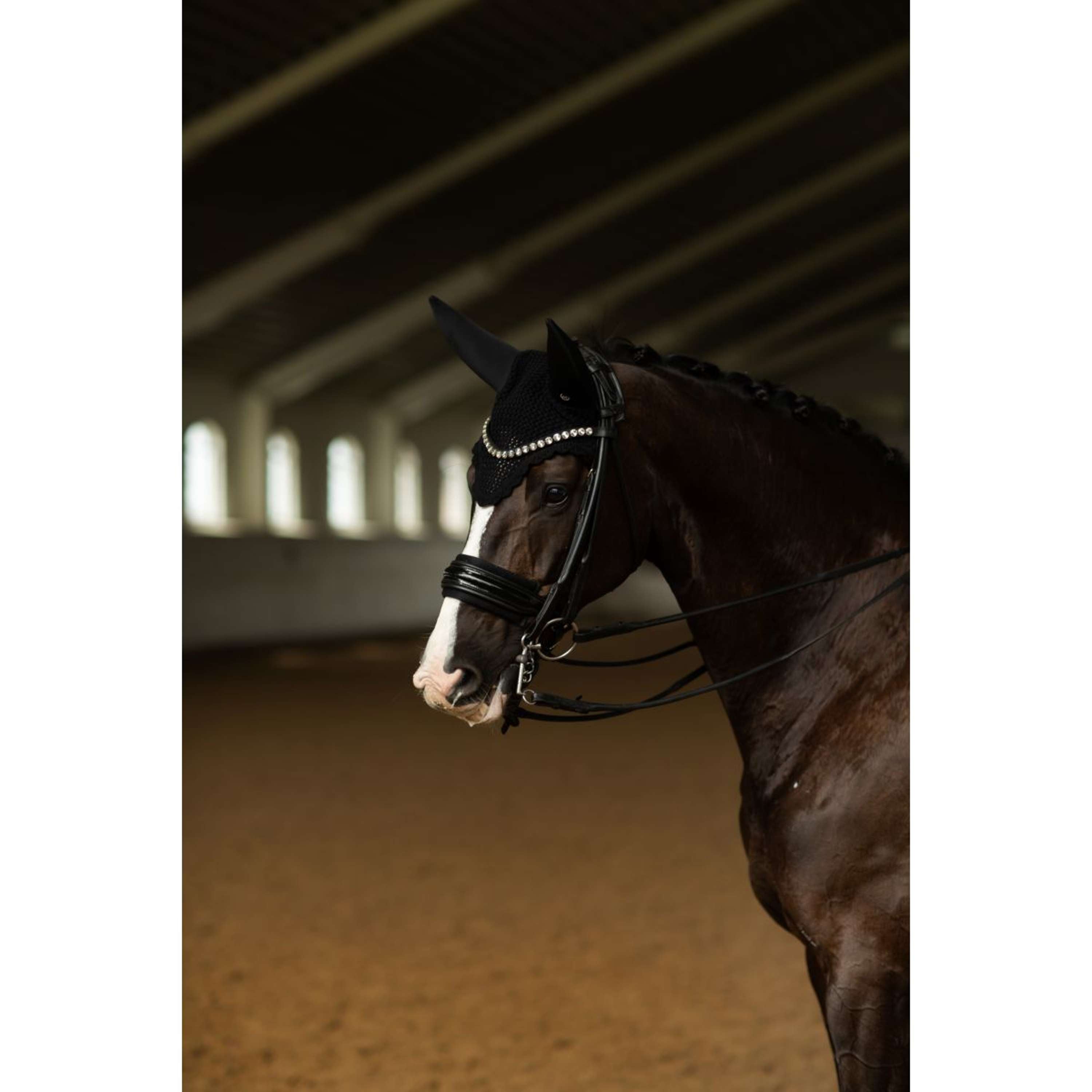 Equestrian Stockholm Siateczka Na Uszy Padded Clean Black