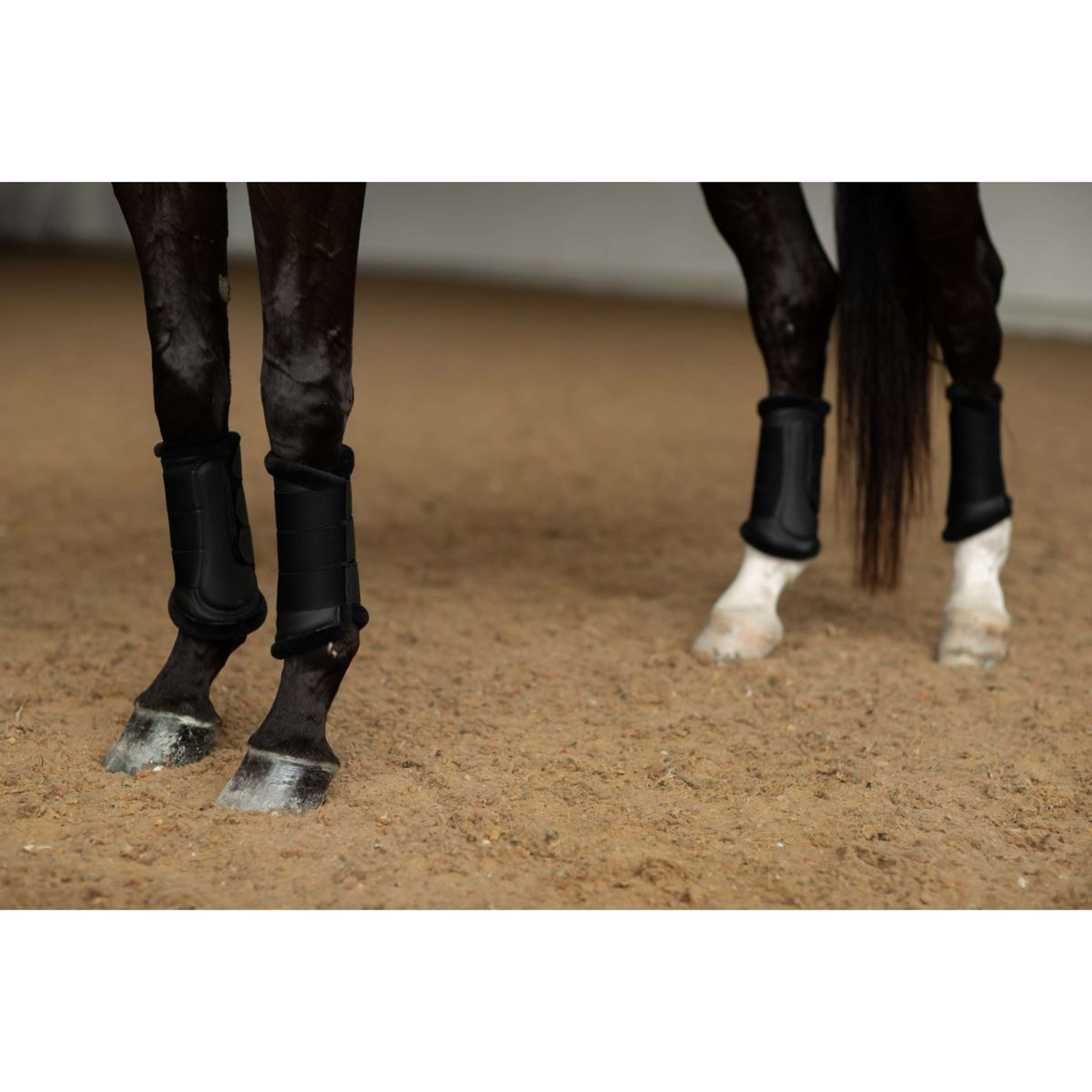 Equestrian Stockholm Ochraniacz Czarny