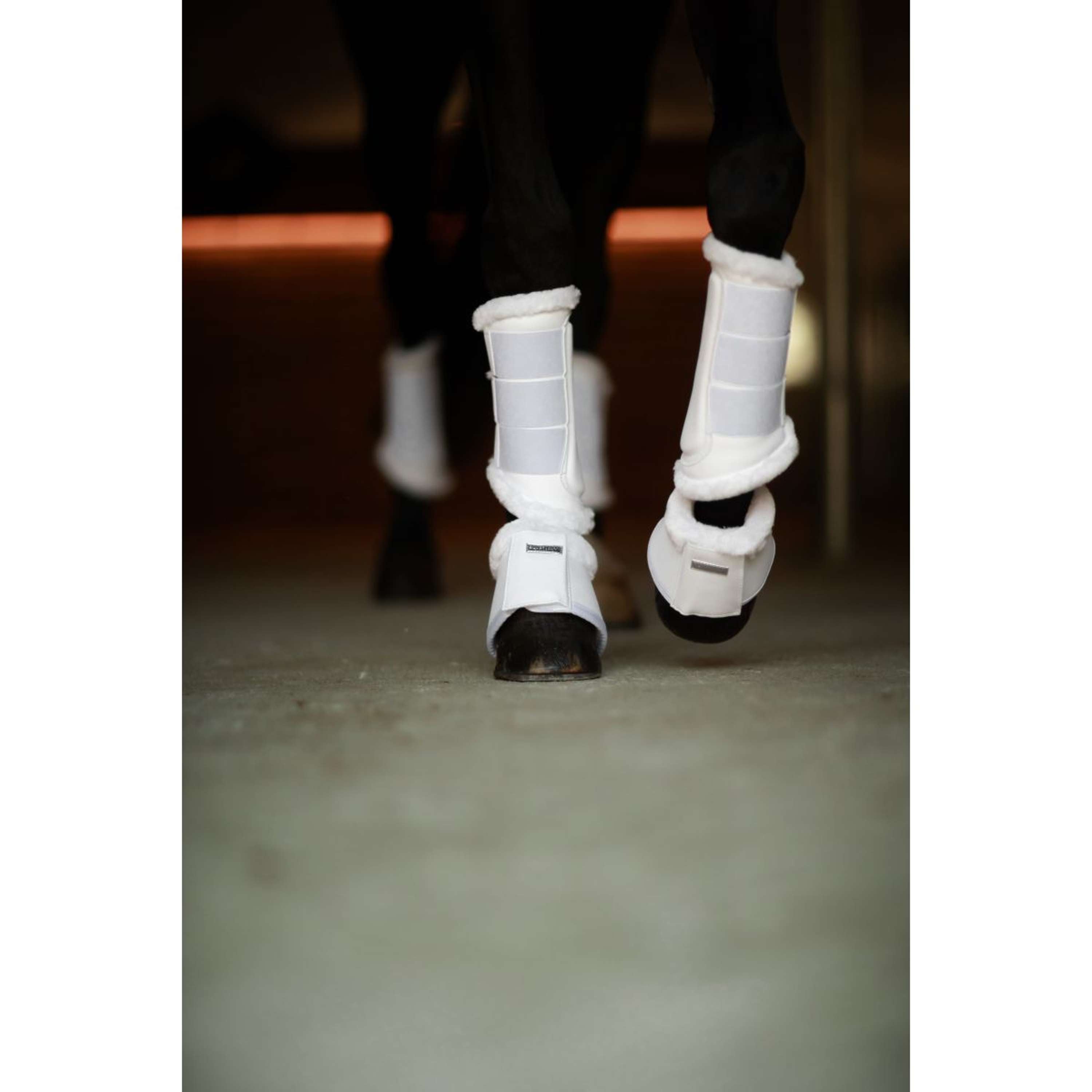 Equestrian Stockholm Ochraniacz White Silver