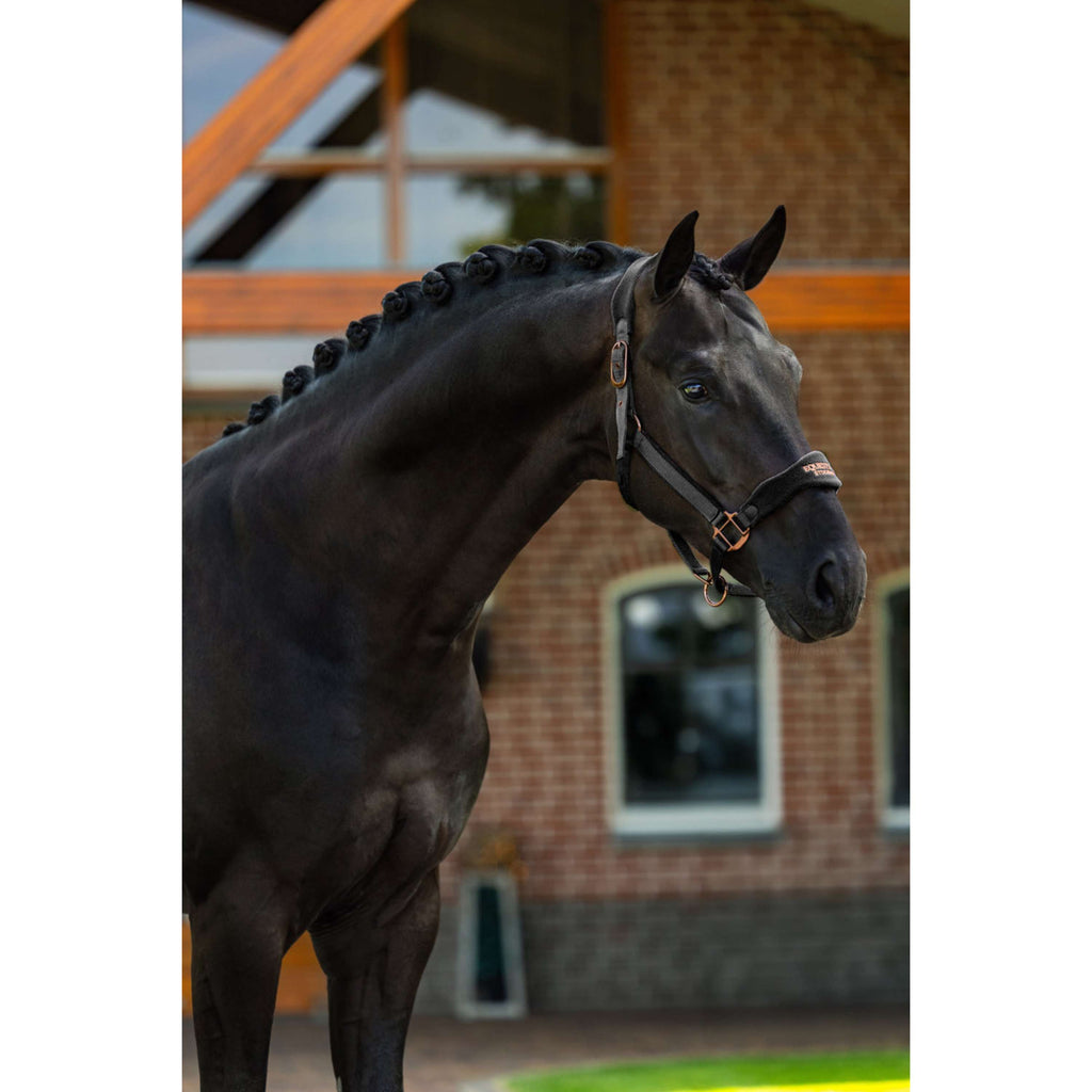 Kantar anatomiczny Equestrian Stockholm polarowy czarny/pudrowy róż