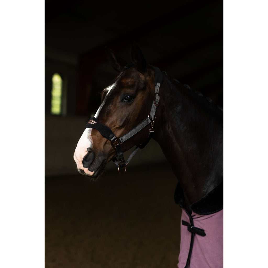 Kantar anatomiczny Equestrian Stockholm polarowy czarny/pudrowy róż