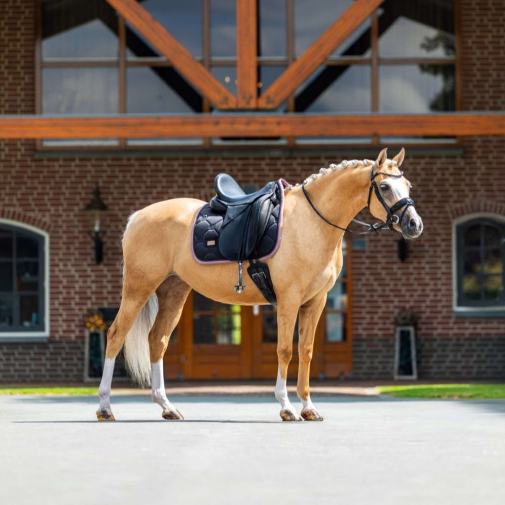 Equestrian Stockholm Czaprak Ujeżdżeniowy Czarny/Pudrowy Róż