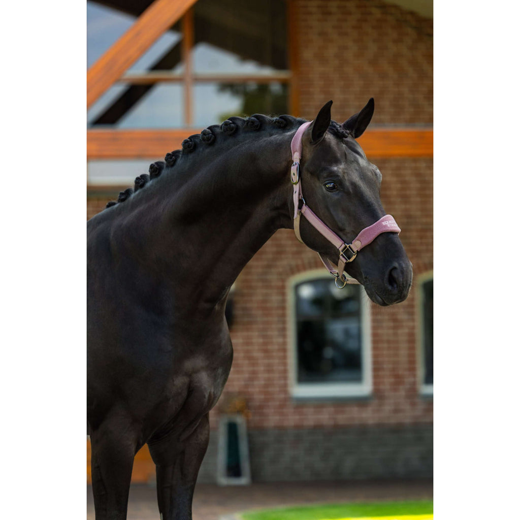 Equestrian Stockholm Kantar Anatomiczny Fleece Blush