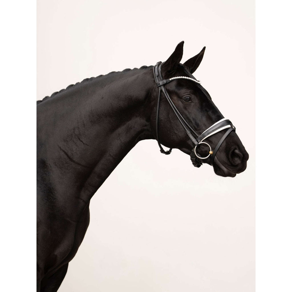 Equestrian Stockholm Naczółek Faded 8mm Crystal