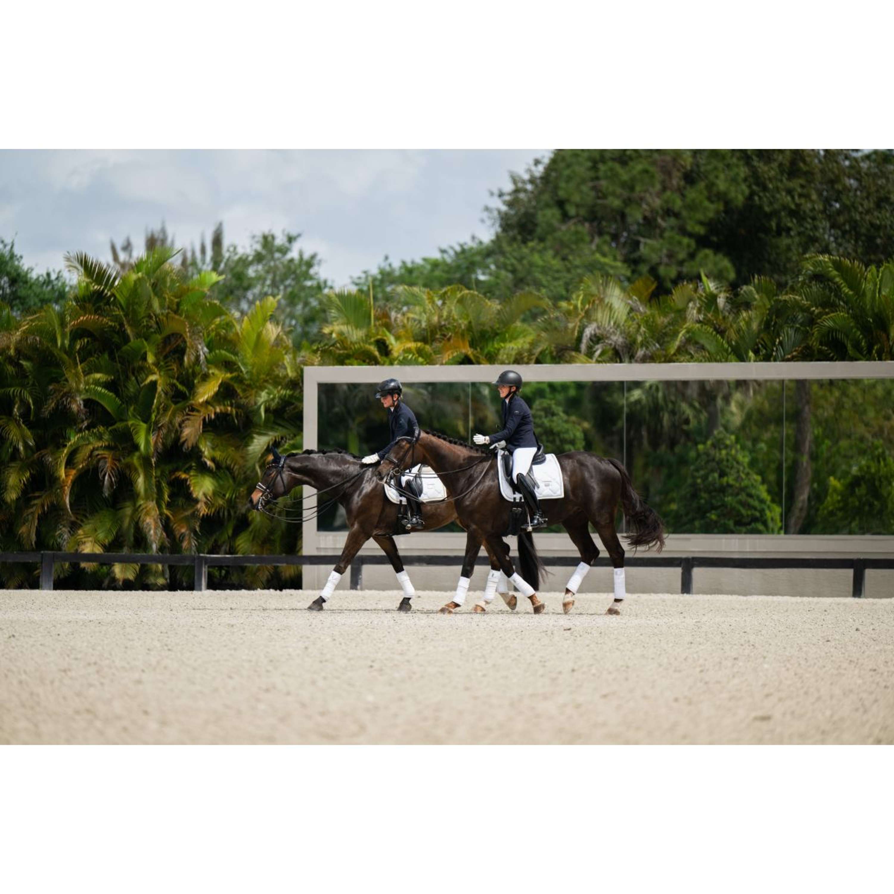 Equestrian Stockholm owijki dla koni White Silver