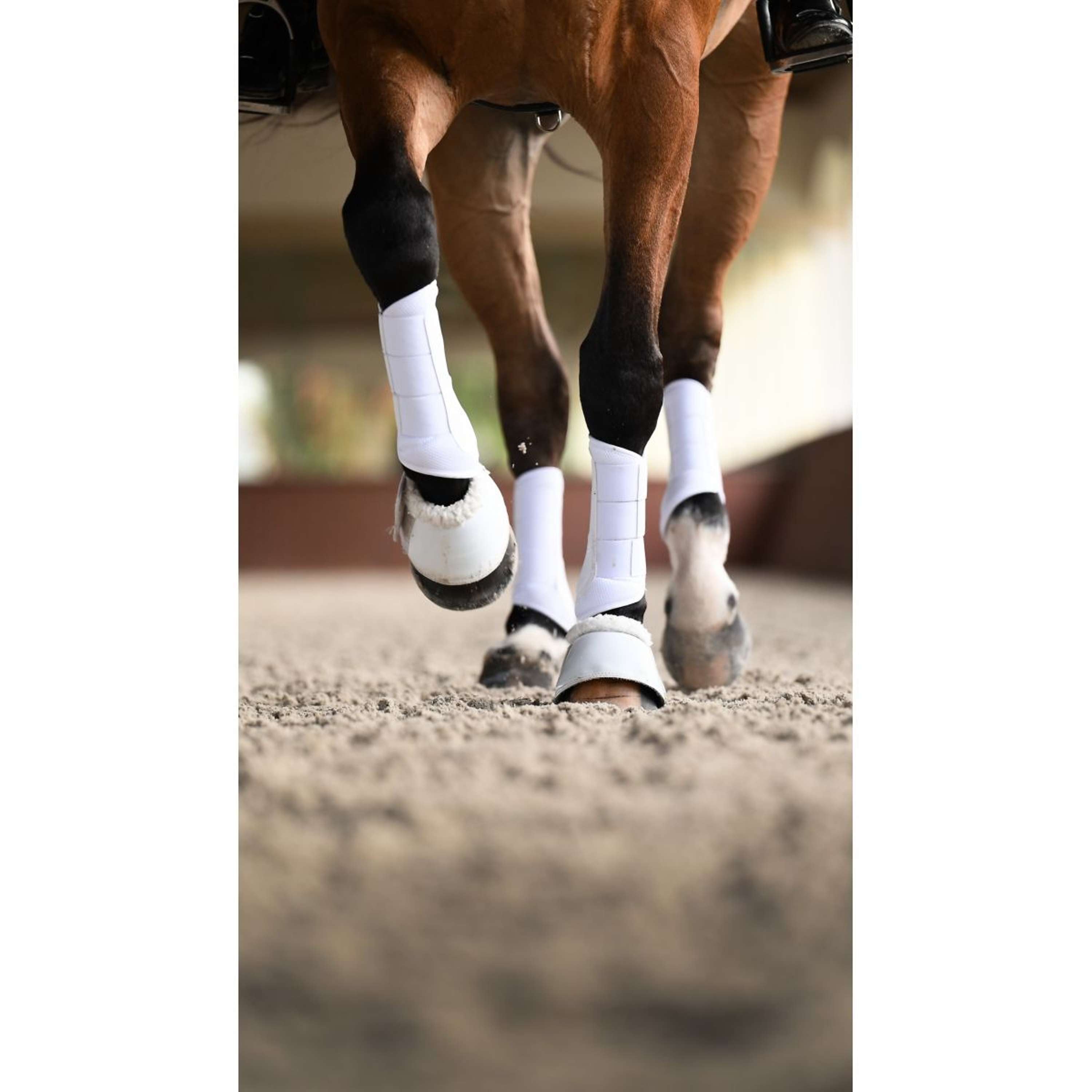 Equestrian Stockholm Ochraniacz Classic Mesh White Silver