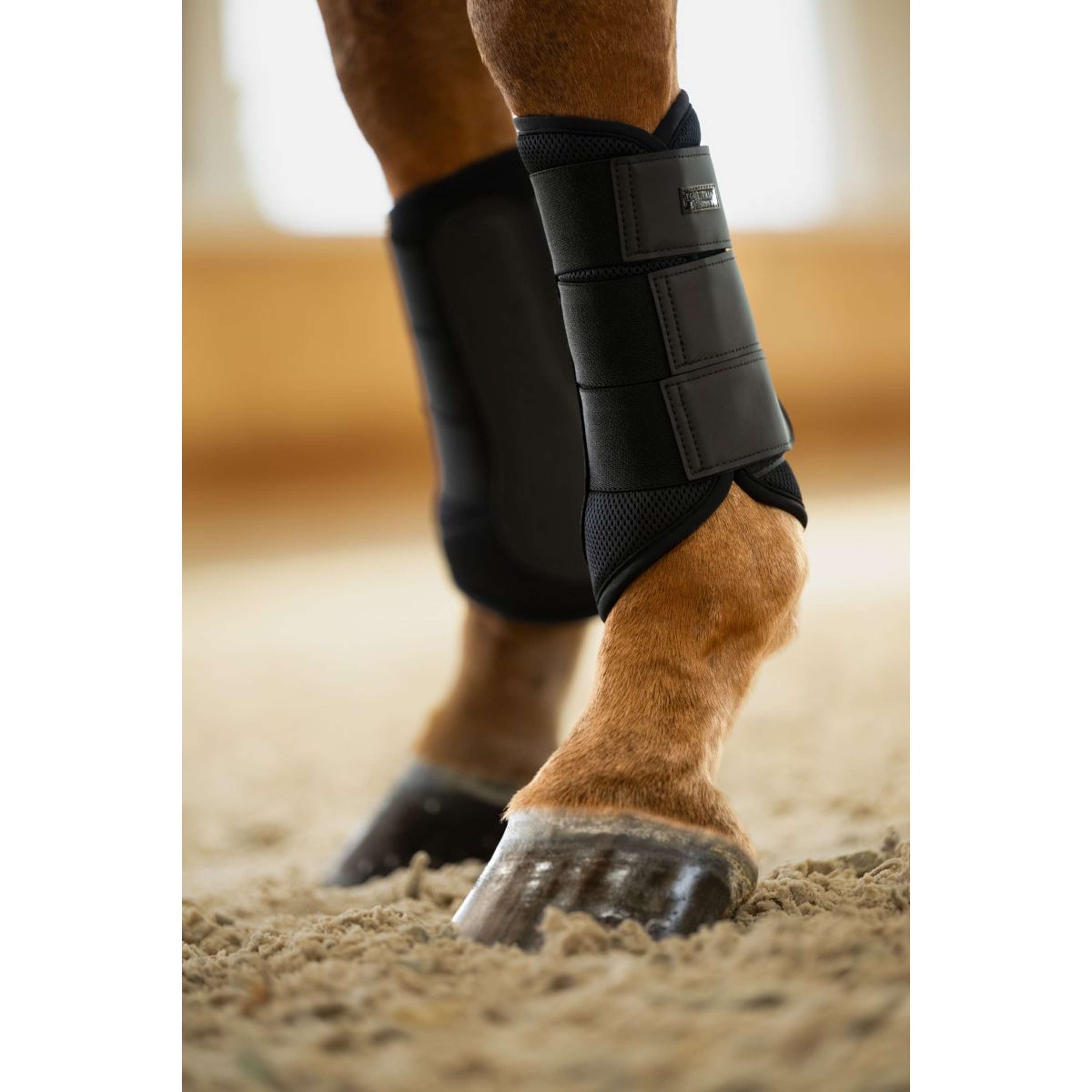 Equestrian Stockholm Ochraniacze Classic Mesh All Black