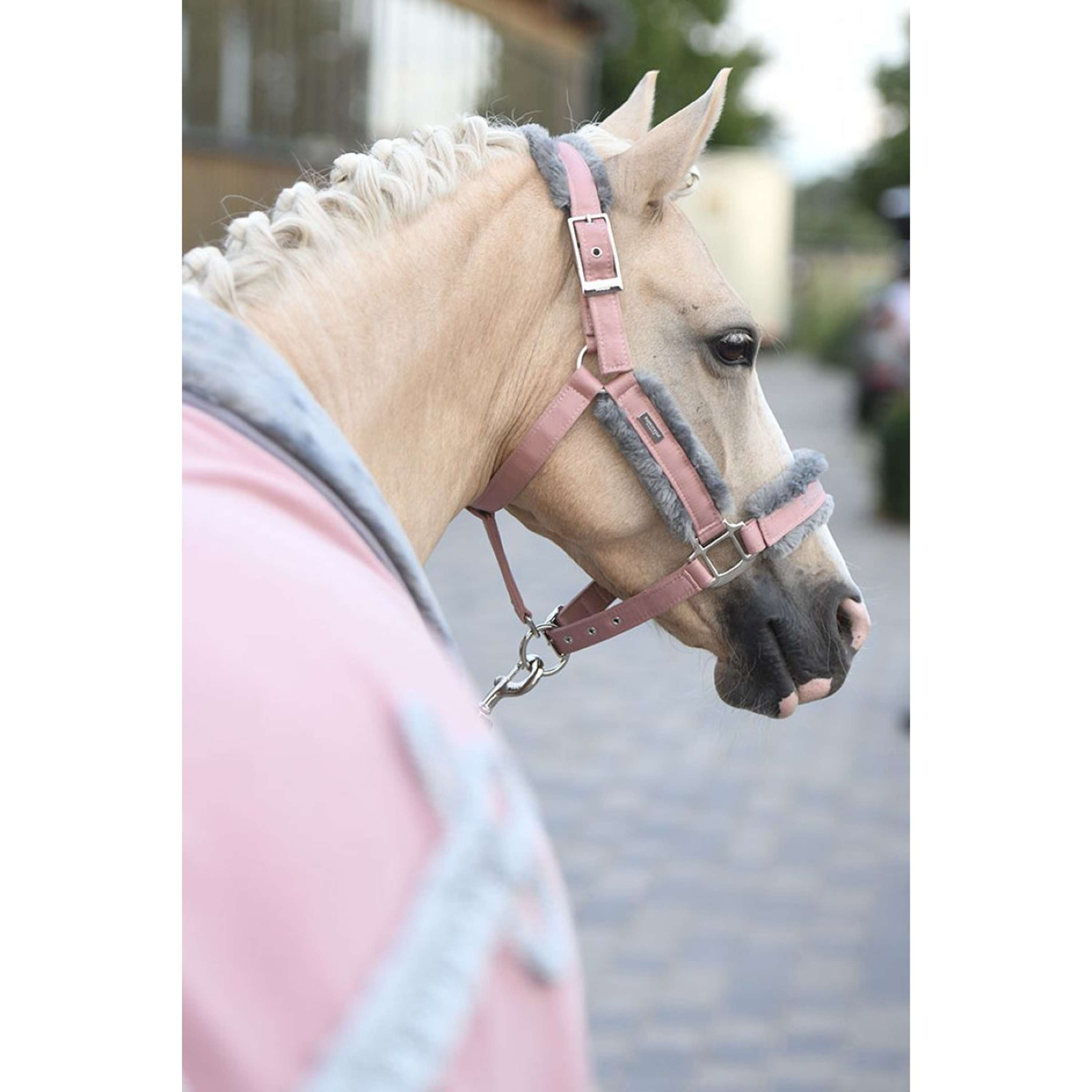 Equestrian Stockholm Kantar z uwiązem z futerkiem różowy