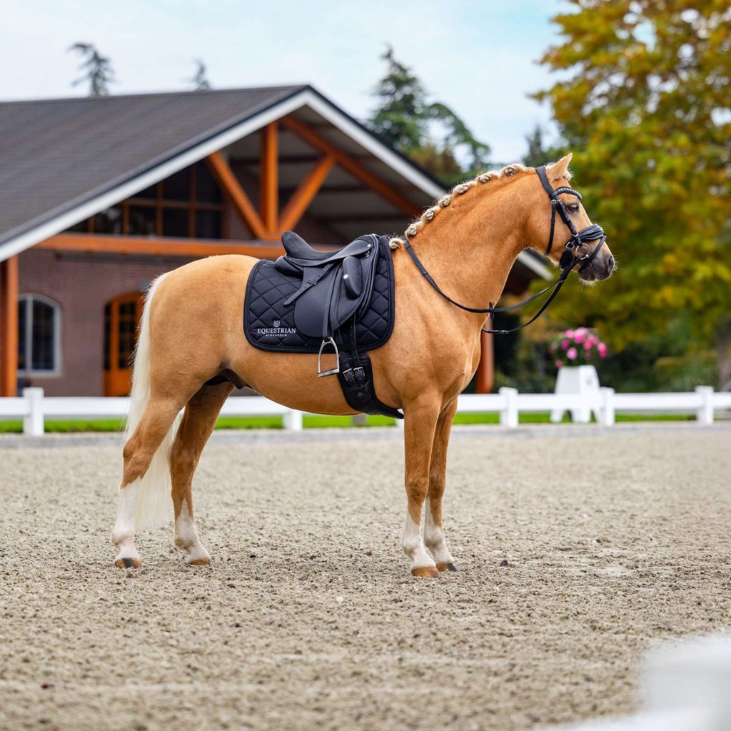 Equestrian Stockholm Czakrak ujeżdżeniowy czarny