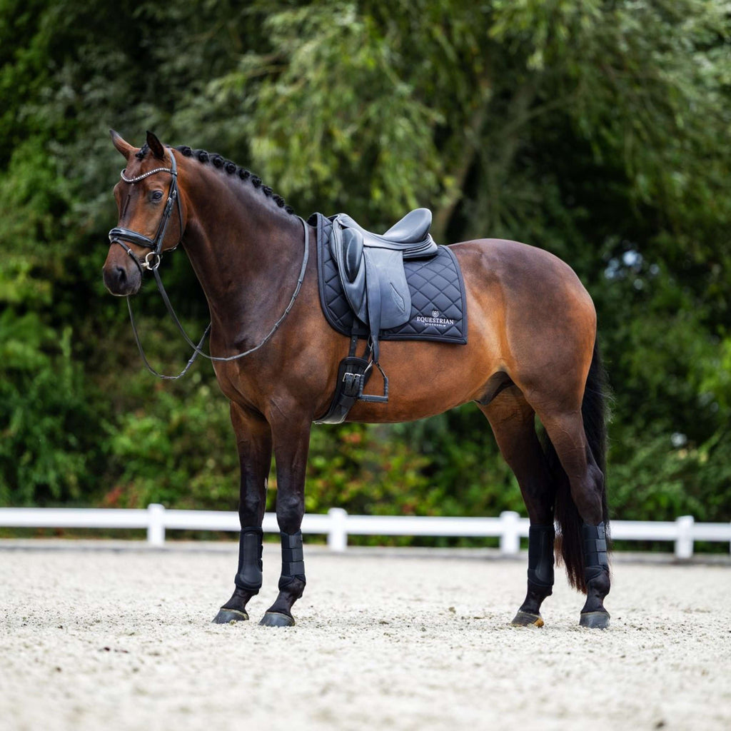 Equestrian Stockholm Czakrak ujeżdżeniowy czarny