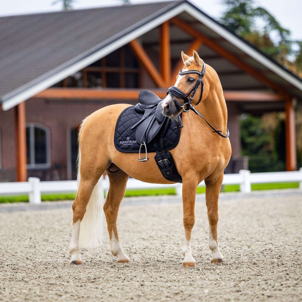 Equestrian Stockholm Czakrak ujeżdżeniowy czarny
