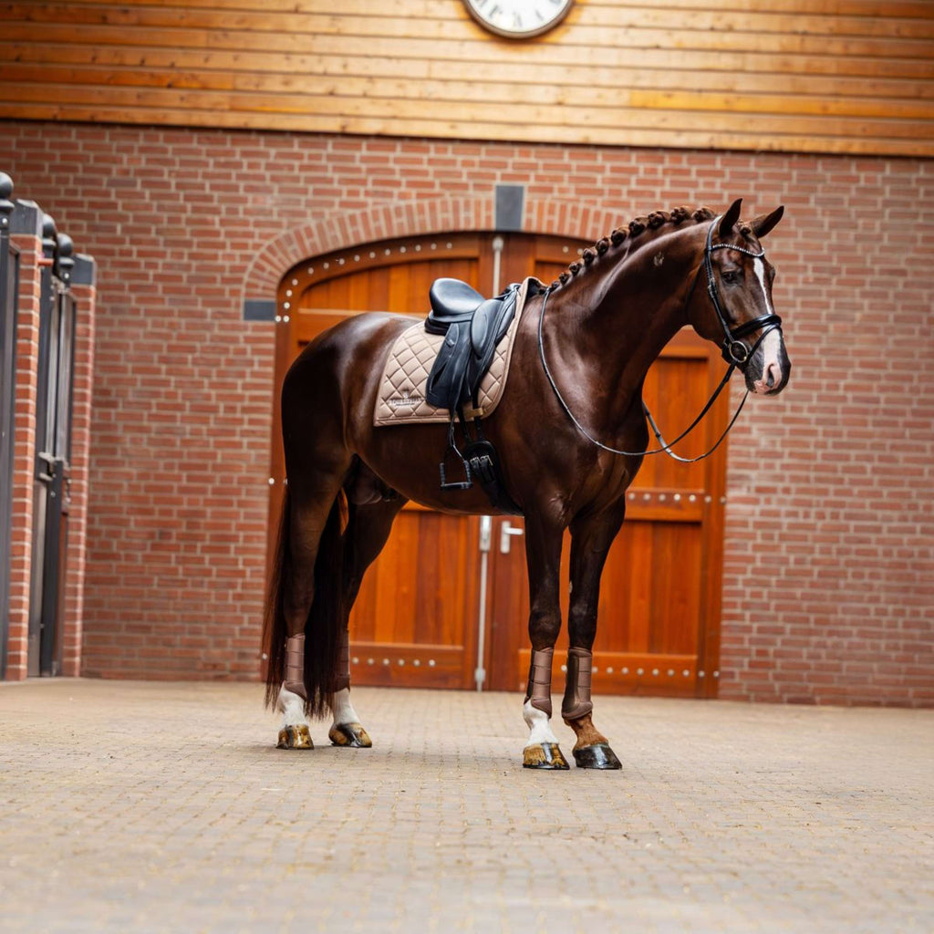 Equestrian Stockholm Czakrak ujeżdżeniowy Champagne