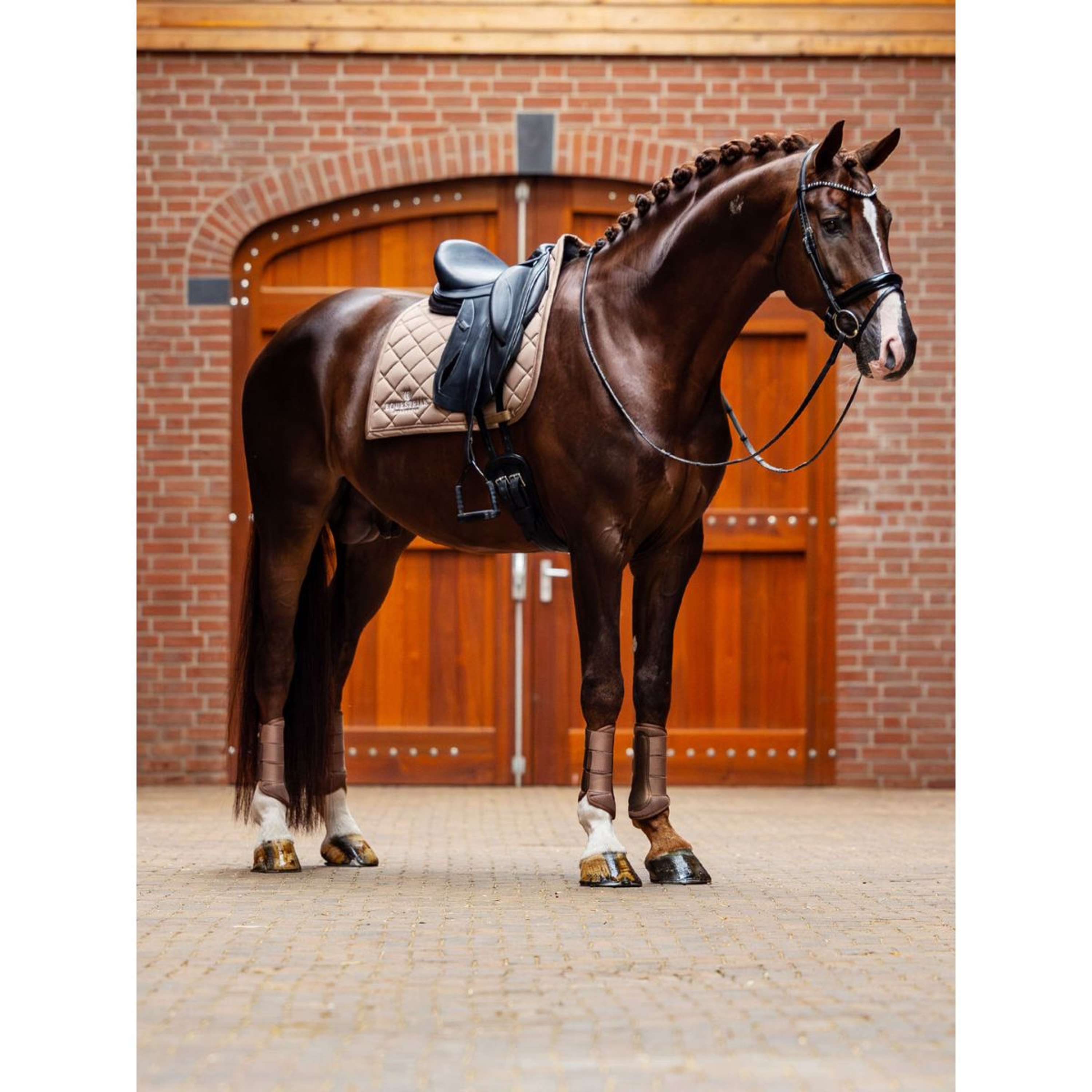Equestrian Stockholm Ochraniacze Classic Mesh Champagne